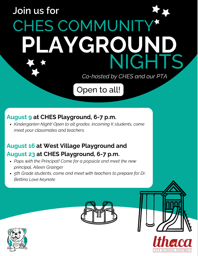 CHES Community Playground Night