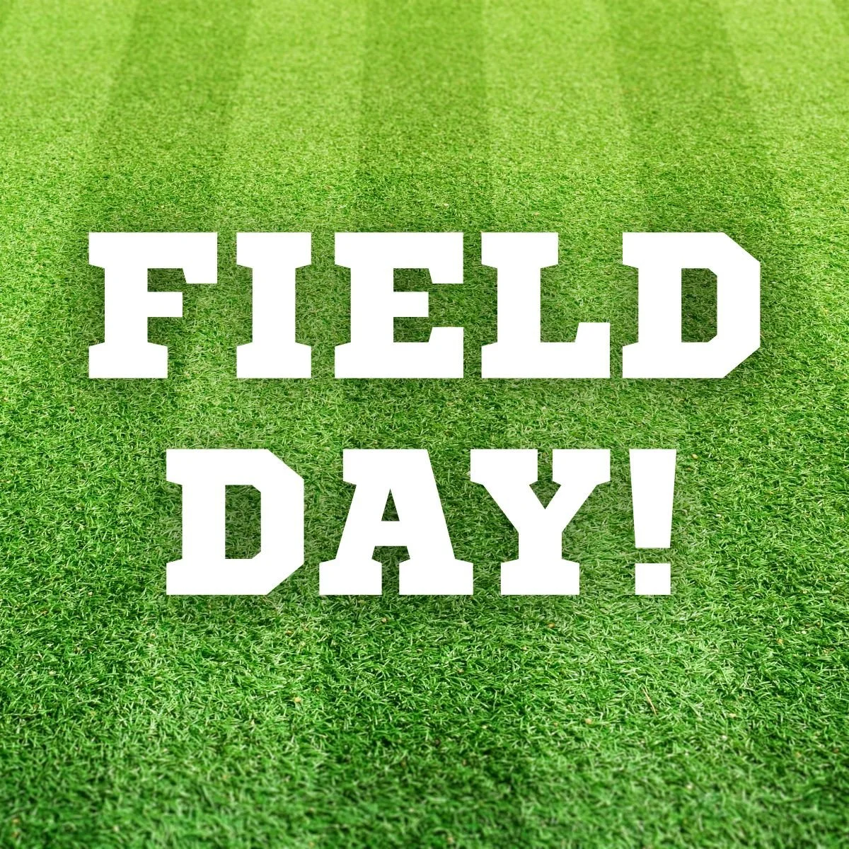 CHES Field Day