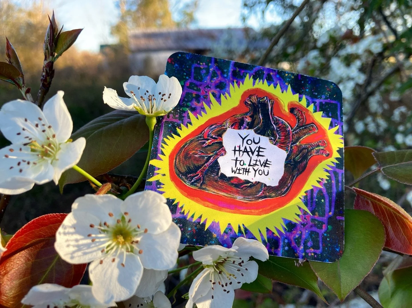 I&rsquo;ll be honest, I really struggle to show up on social media. I can&rsquo;t pinpoint exactly when it happened but something shifted inside and I realized I&rsquo;d rather be more present in my immediate world. Social media can be its own world 