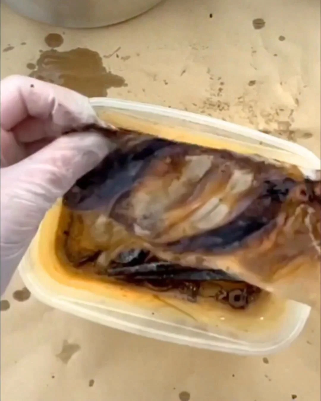 Day 2 is live - Printed Nature Guided Experience

Today we move into rust and eco dyeing.

Soaking fabrics.
Creating bundles.
Letting time and nature react.

This is where many people feel excited&hellip; and slightly uncomfortable.

Because eco dyei