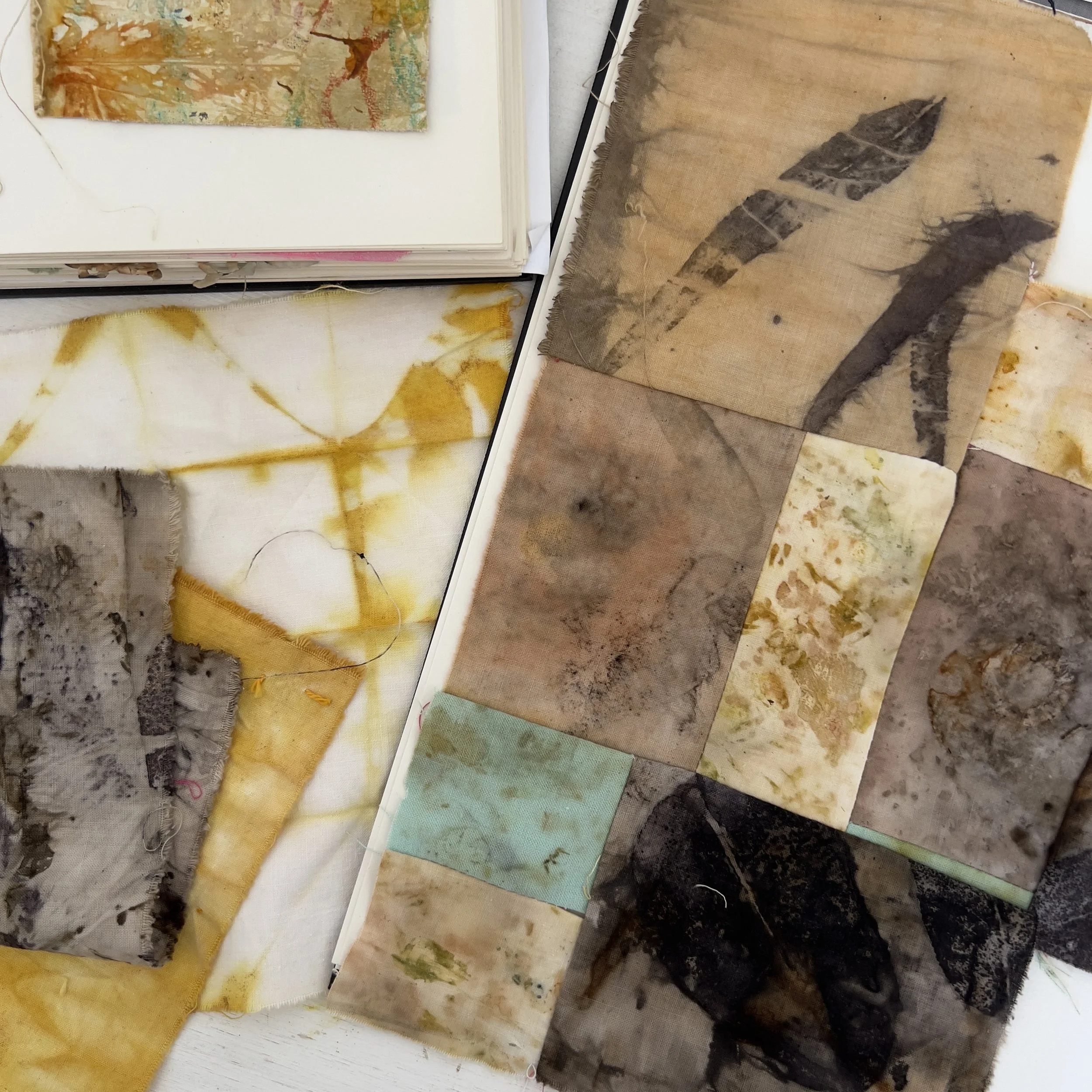 Ecoprinting