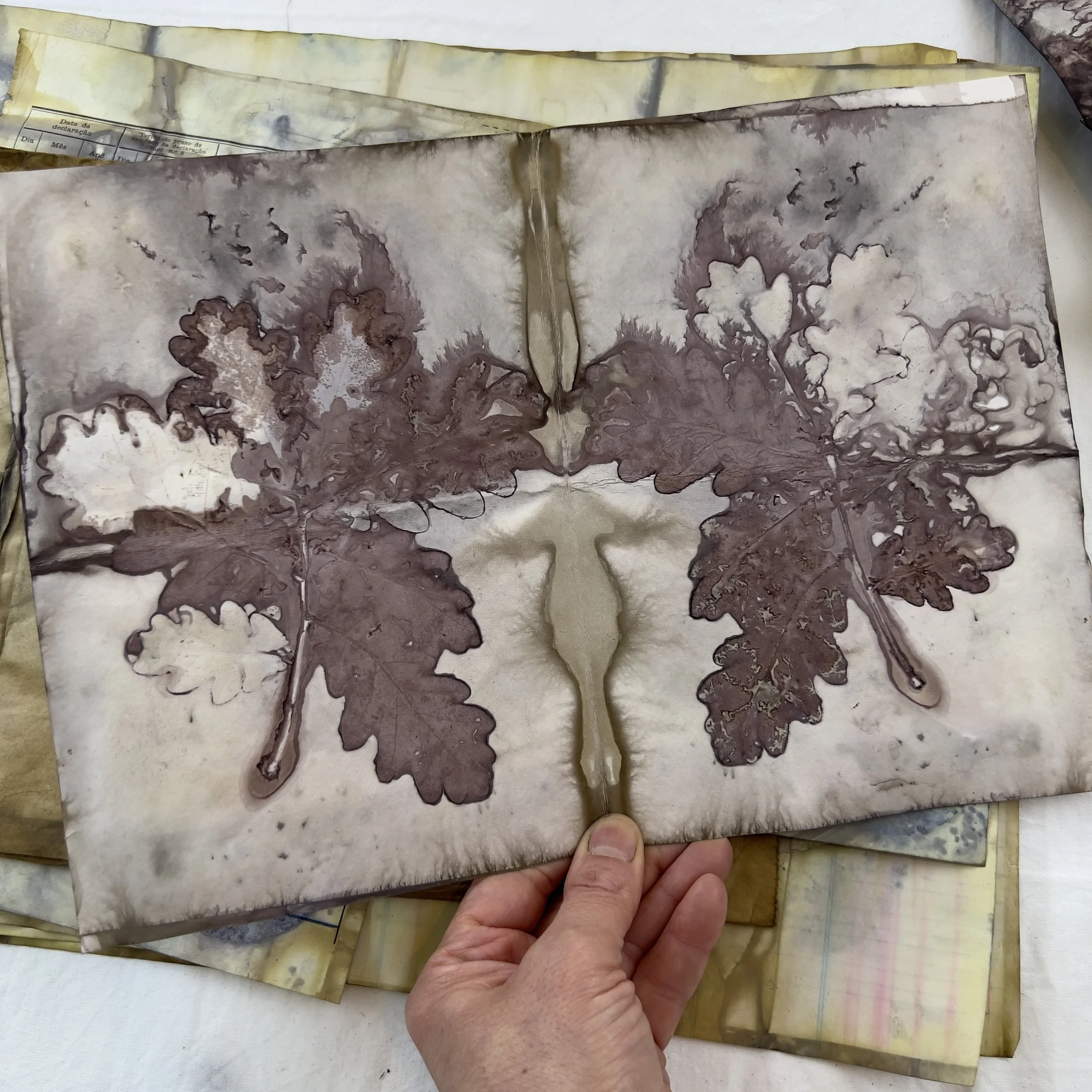 ecoprinting on paper