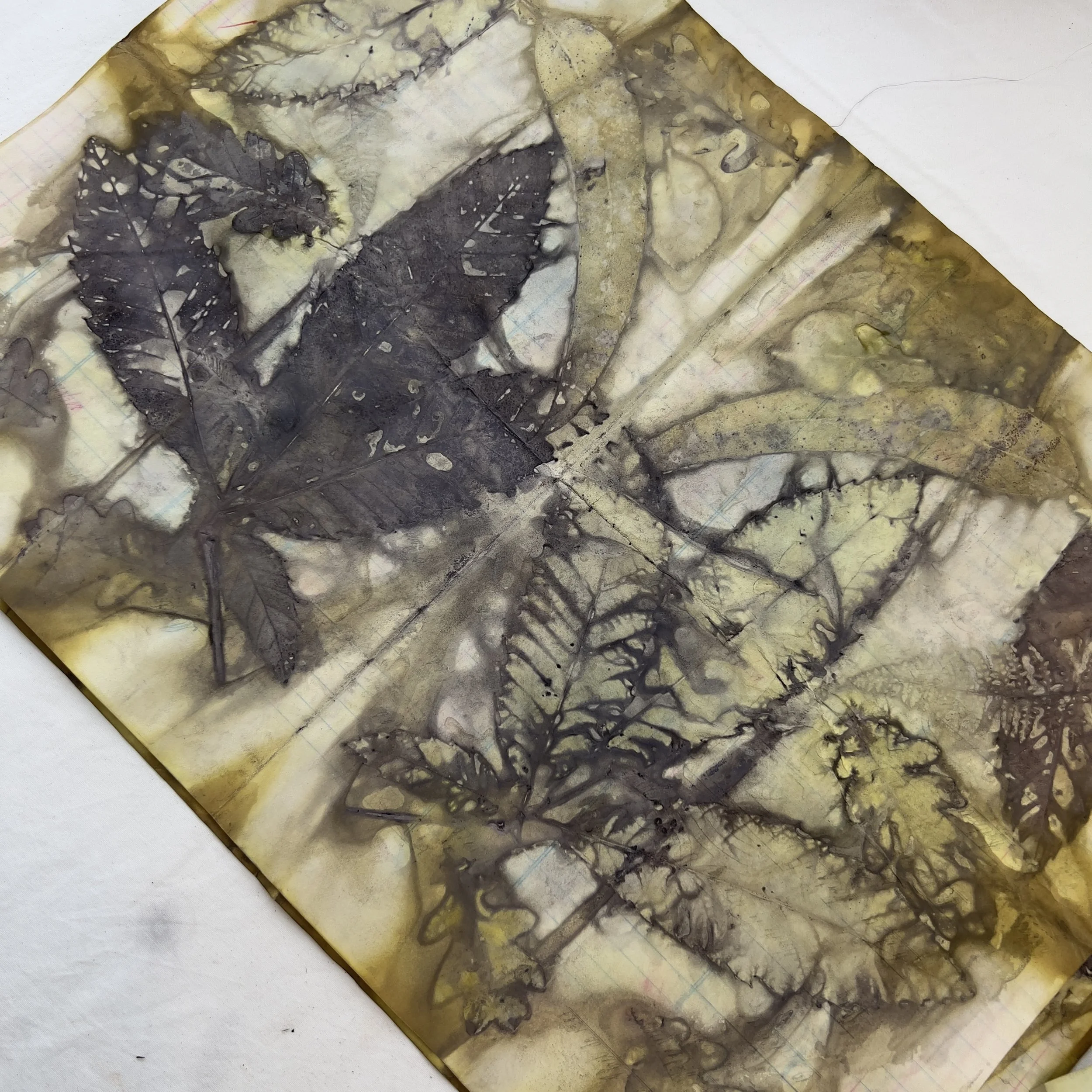 ecoprinting