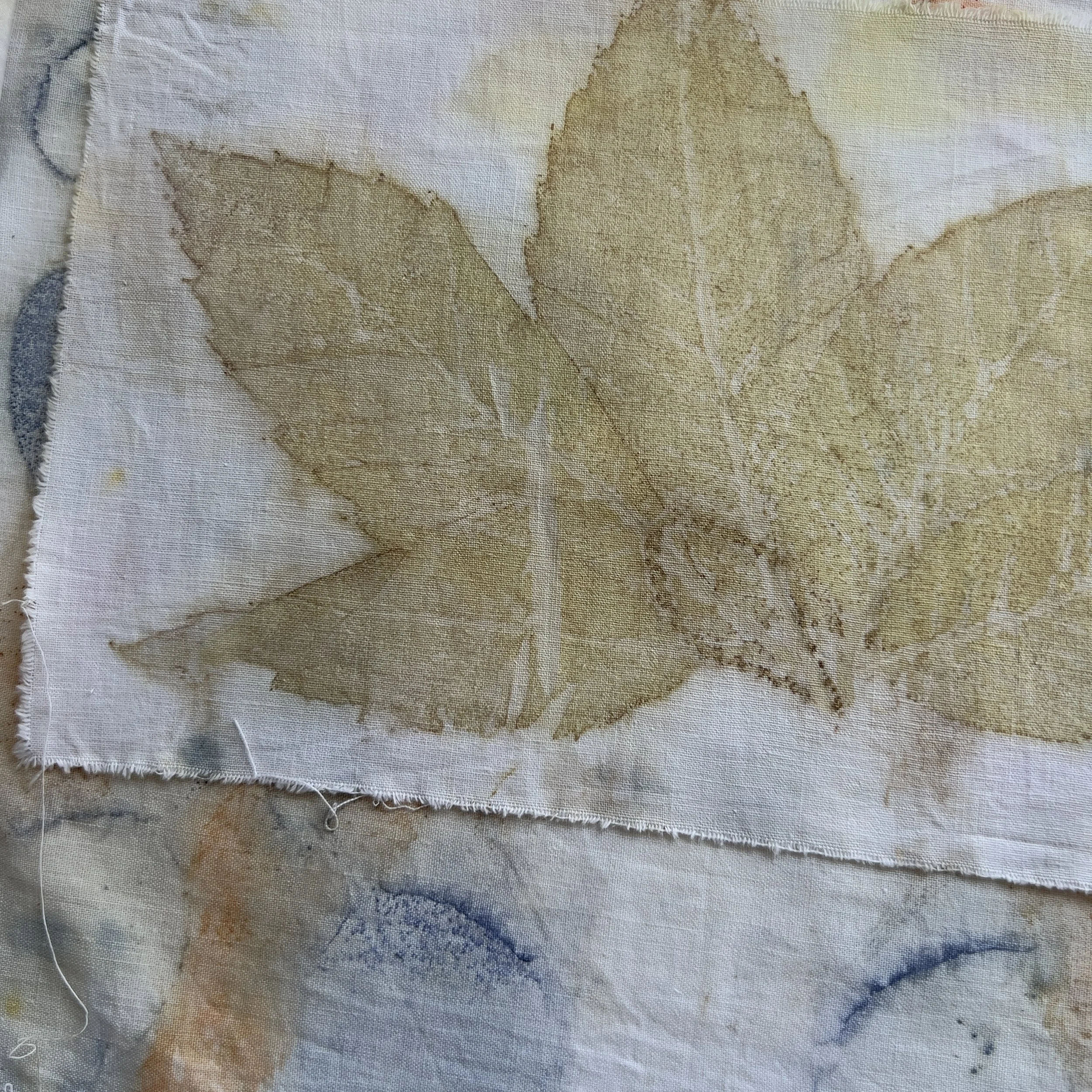 What to collect in Auttumn for Ecoprinting and Natural Dyeing