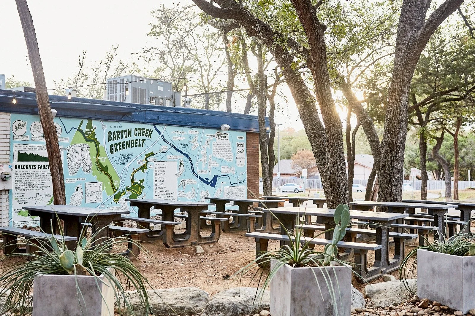 How Lyle Alexander Helped Raise Awareness About Austin’s Barton Creek Greenbelt 