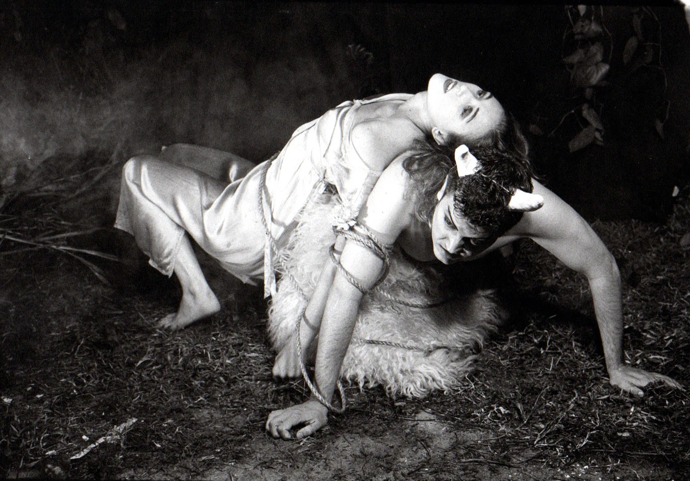 Europa and the Bull