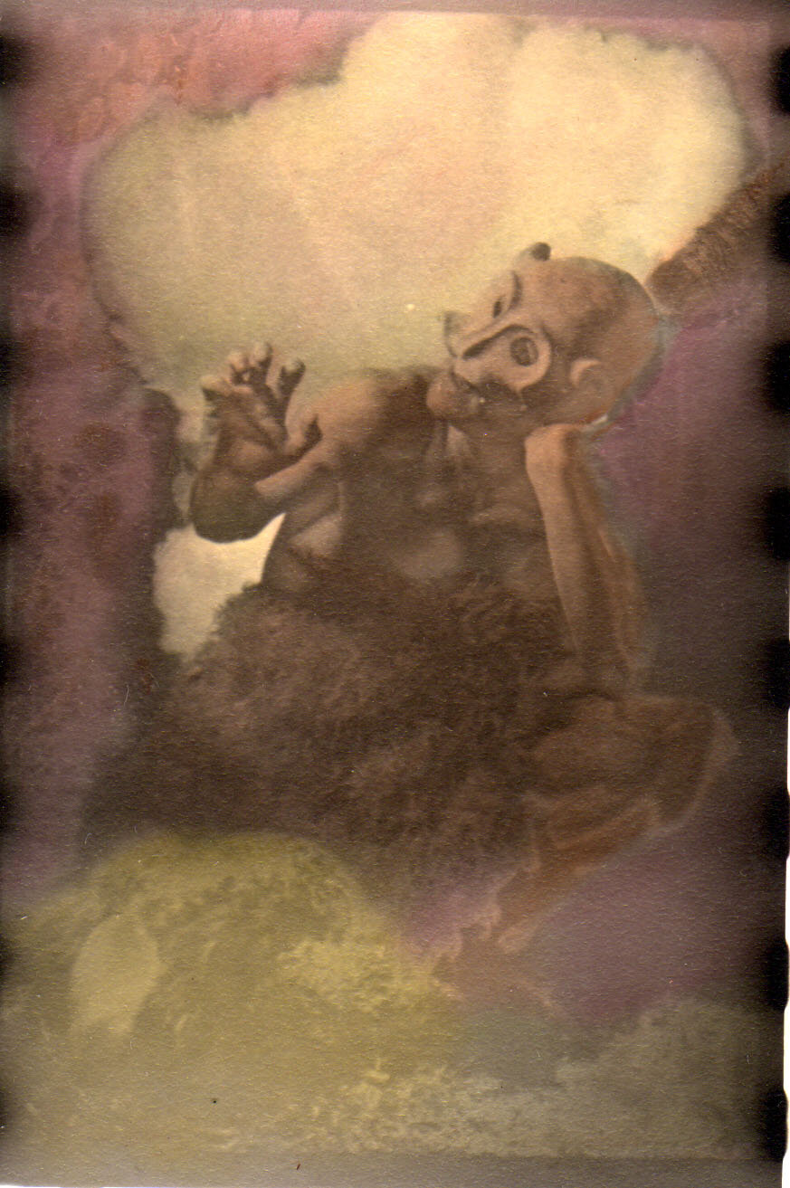  Bobby in an untitled hand-colored silver gelatin print from the ‘Pandora’s Box’ series, 1999. 