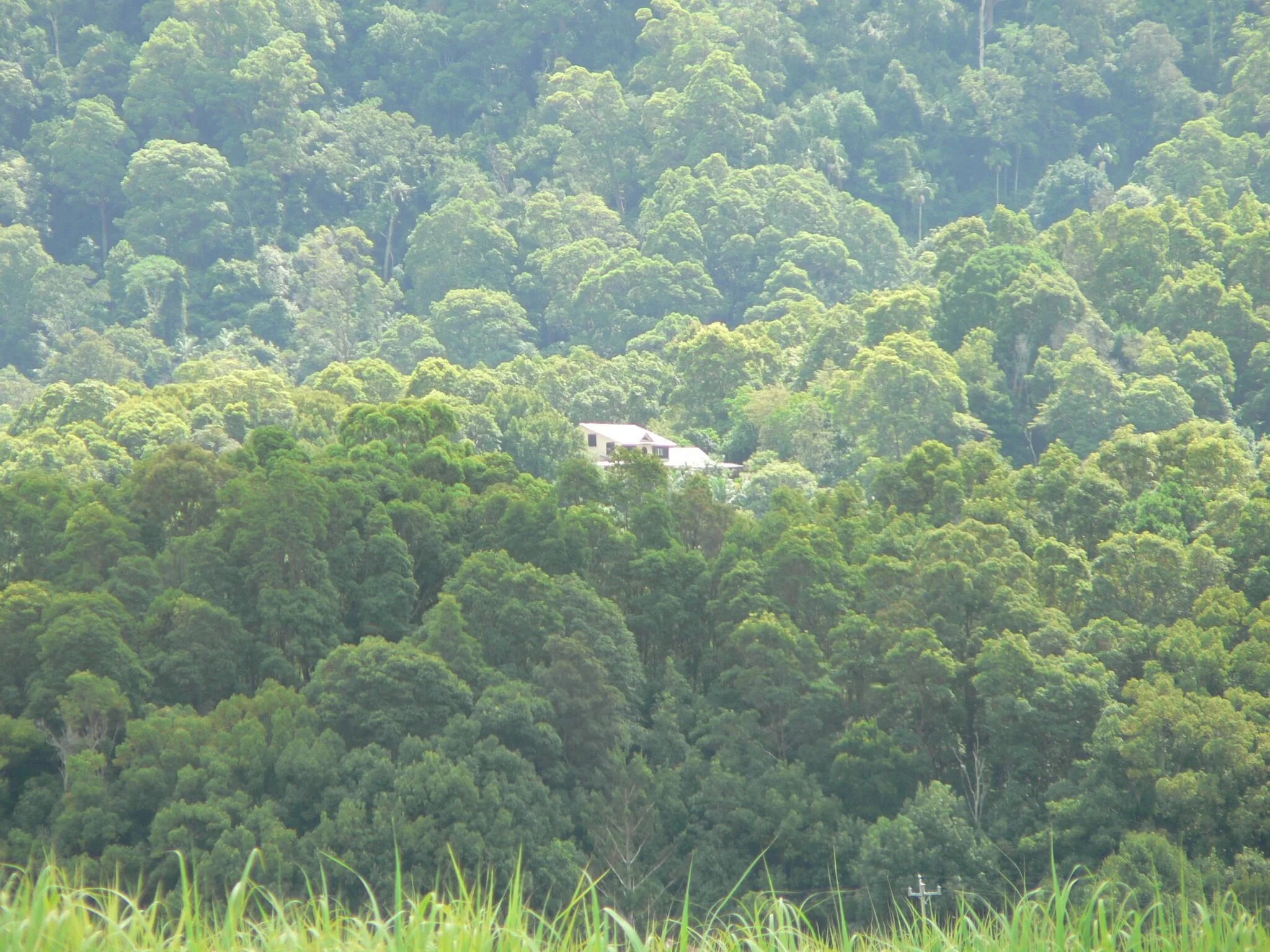 house in hill close.jpg