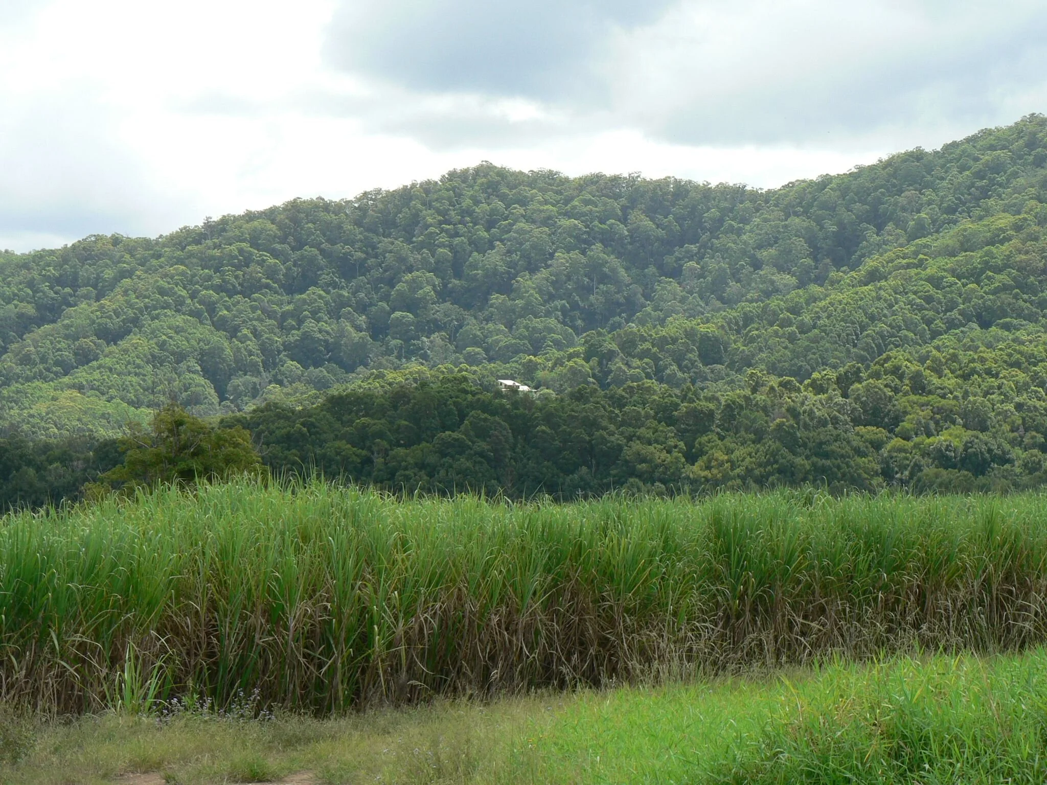 house in the hill.jpg