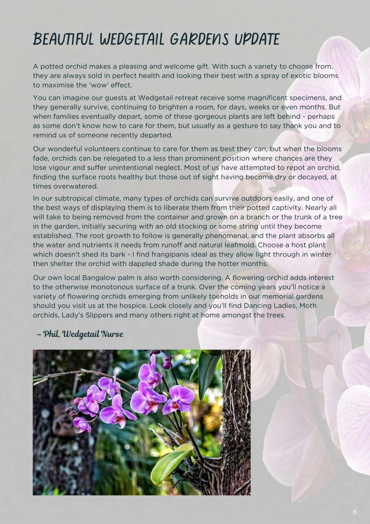 TPS Newsletter Spring October 2023-6.jpg