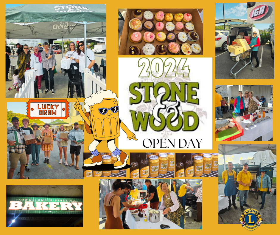 stone and wood day.png