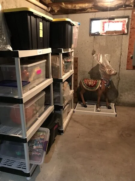 South Shore: Whole House Organization in Kingston