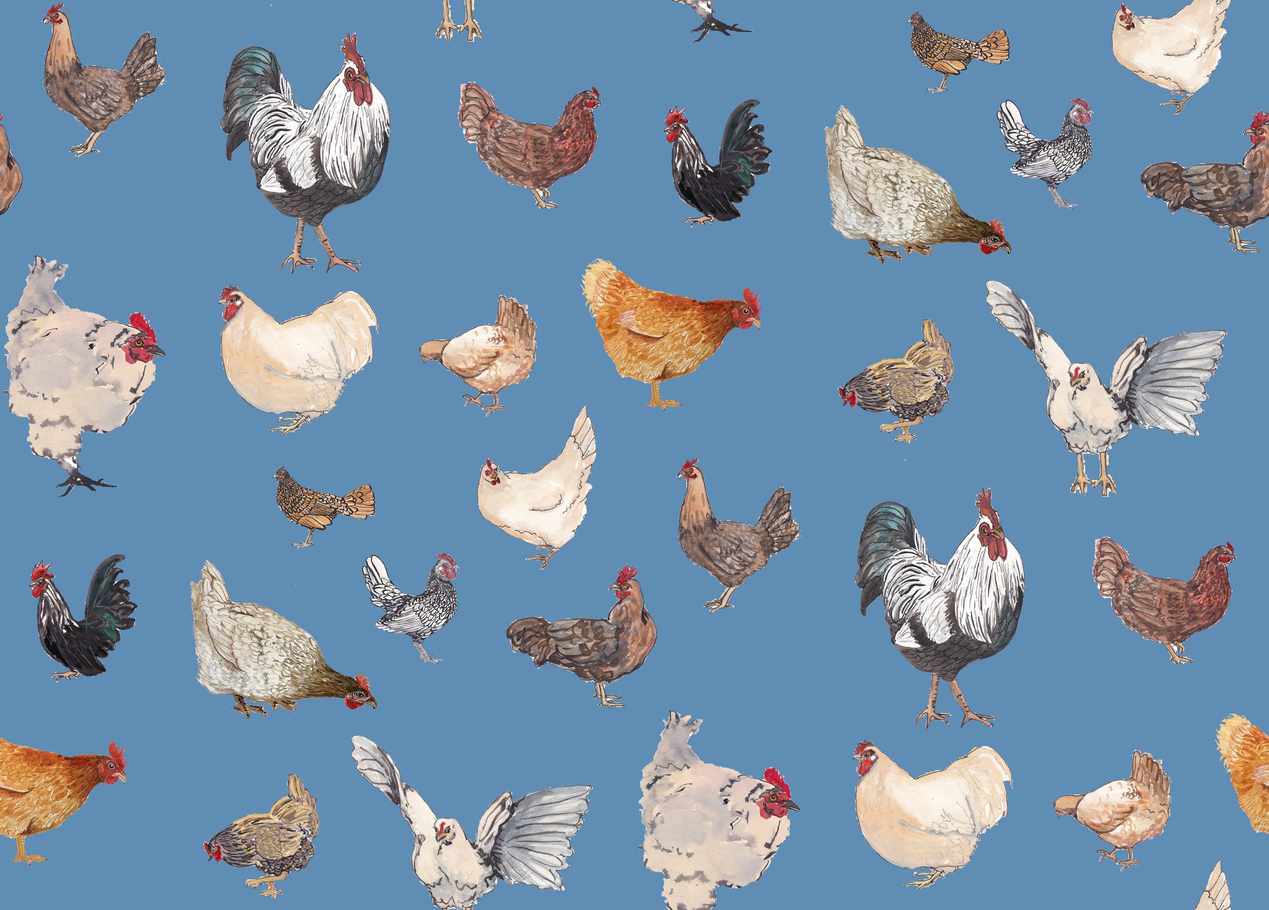 Chicken Happy pattern on modern neutral Wrapping Paper by NormaJeane Studio