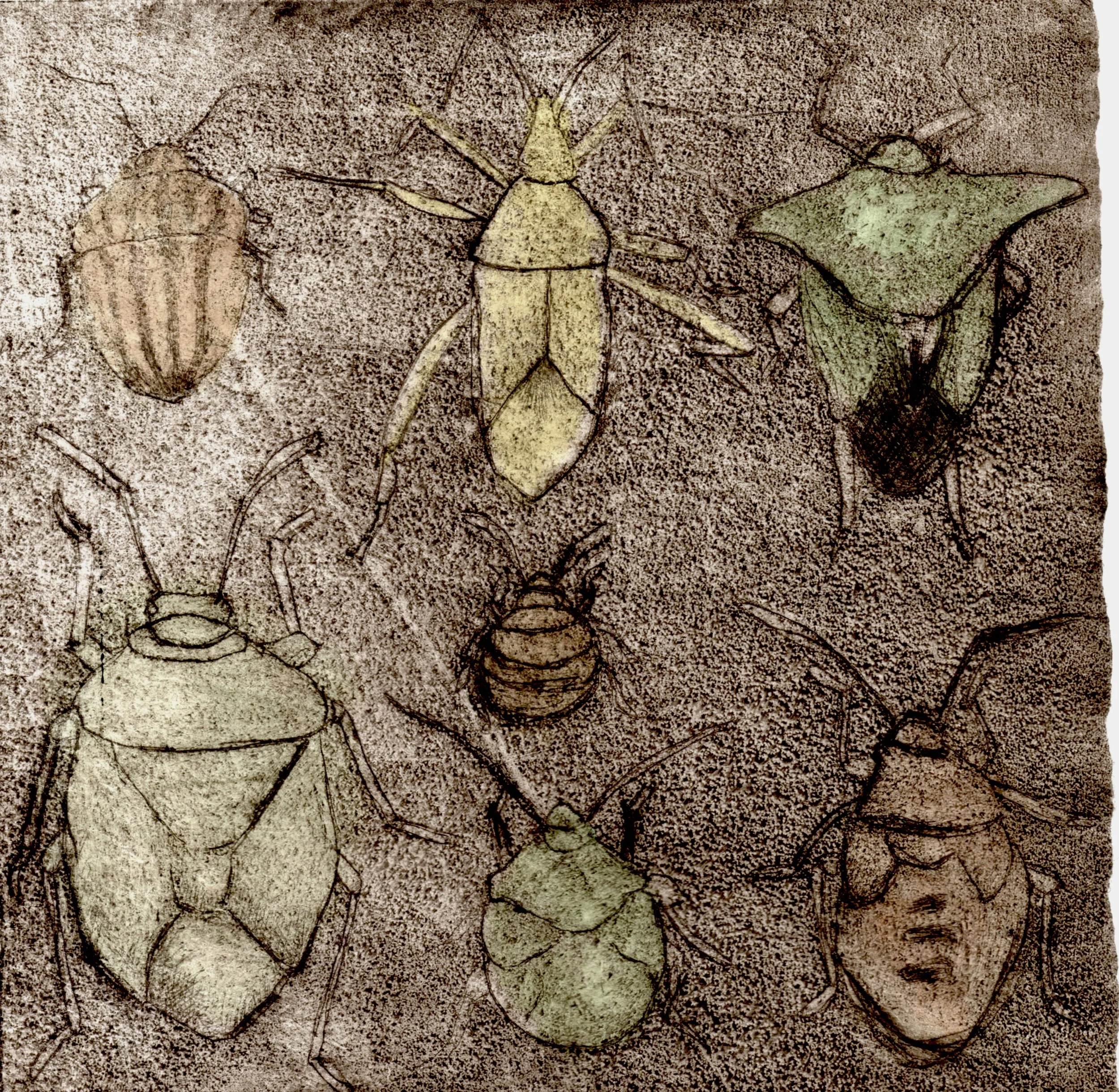 Pest002.jpg