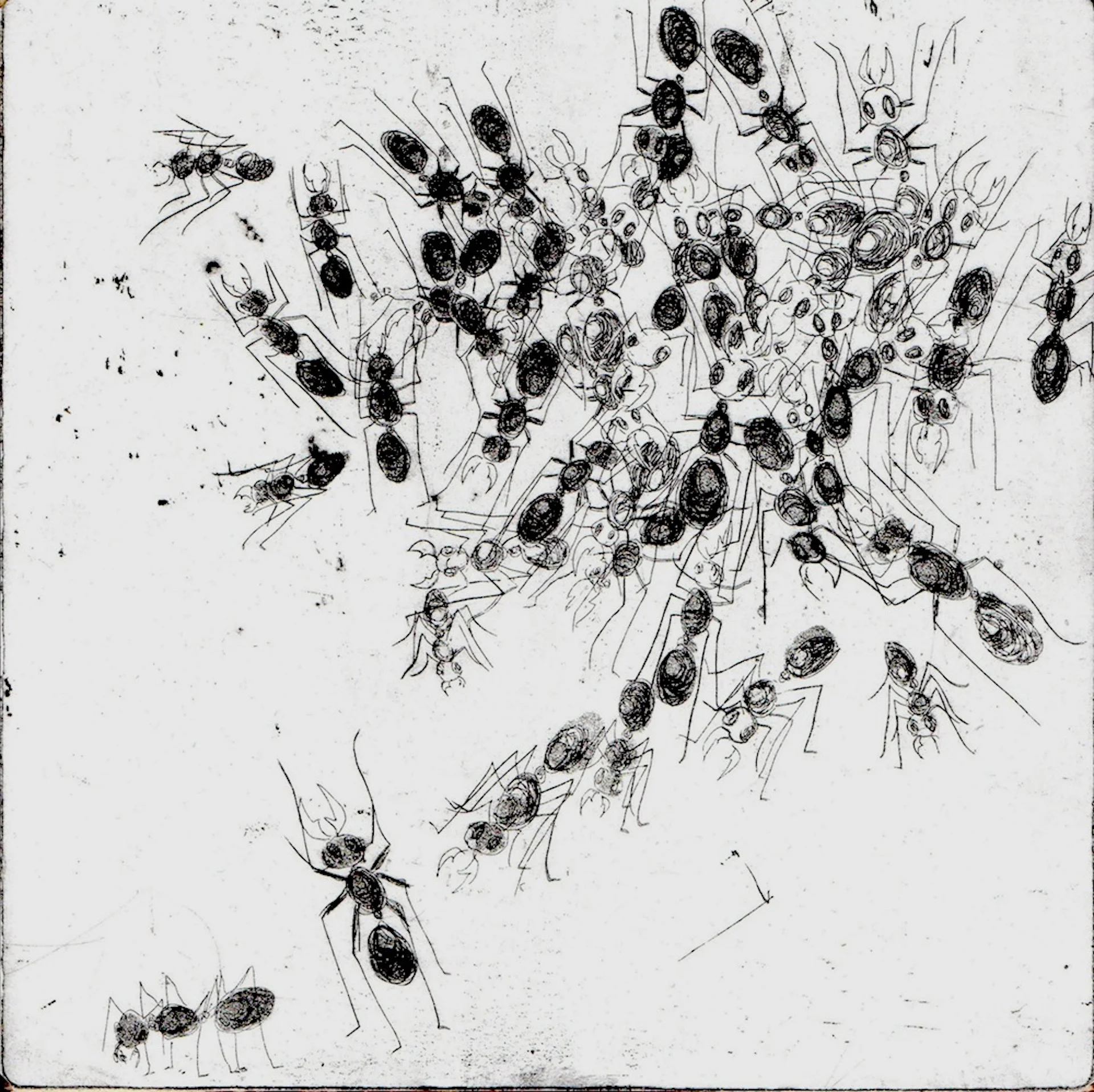 ePest011.jpg