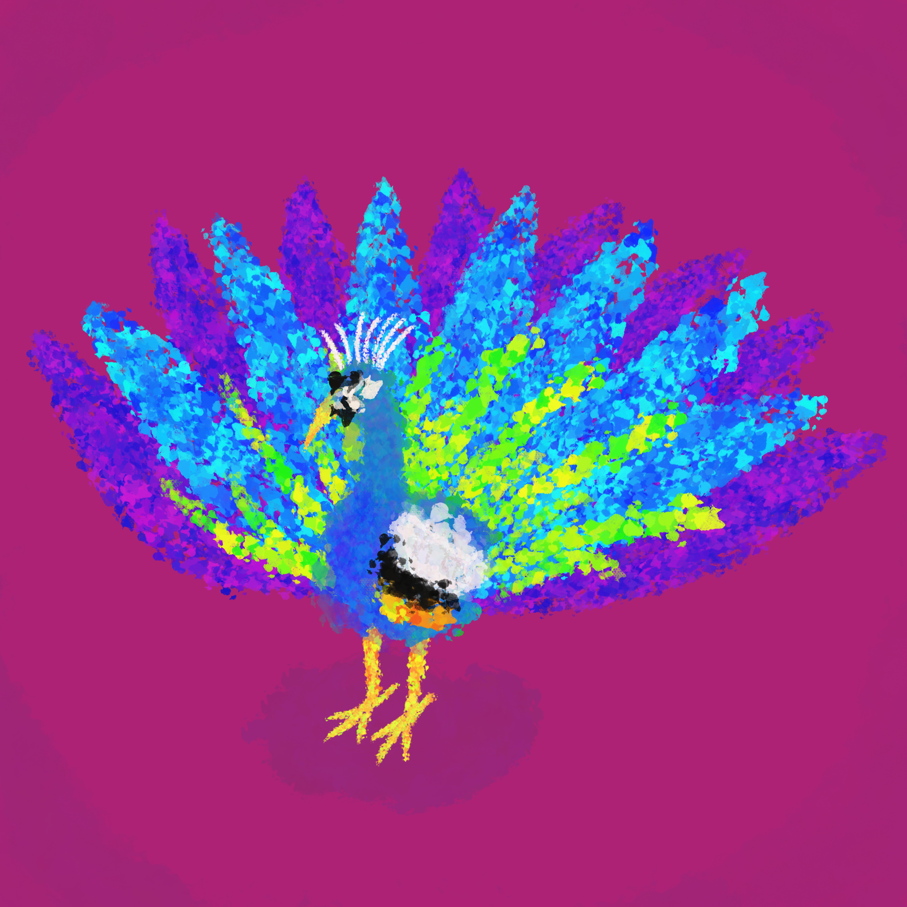 Peacock.png