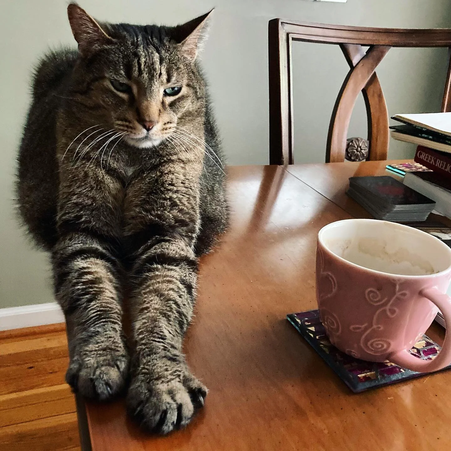 It&rsquo;s Retrograde Season! Pluto, Saturn, Jupiter, and Neptune are ALL appearing to move backwards in the sky. It&rsquo;s a great time to go within, finish projects you&rsquo;ve been putting off, and do shadow work.

For me, this means working on 