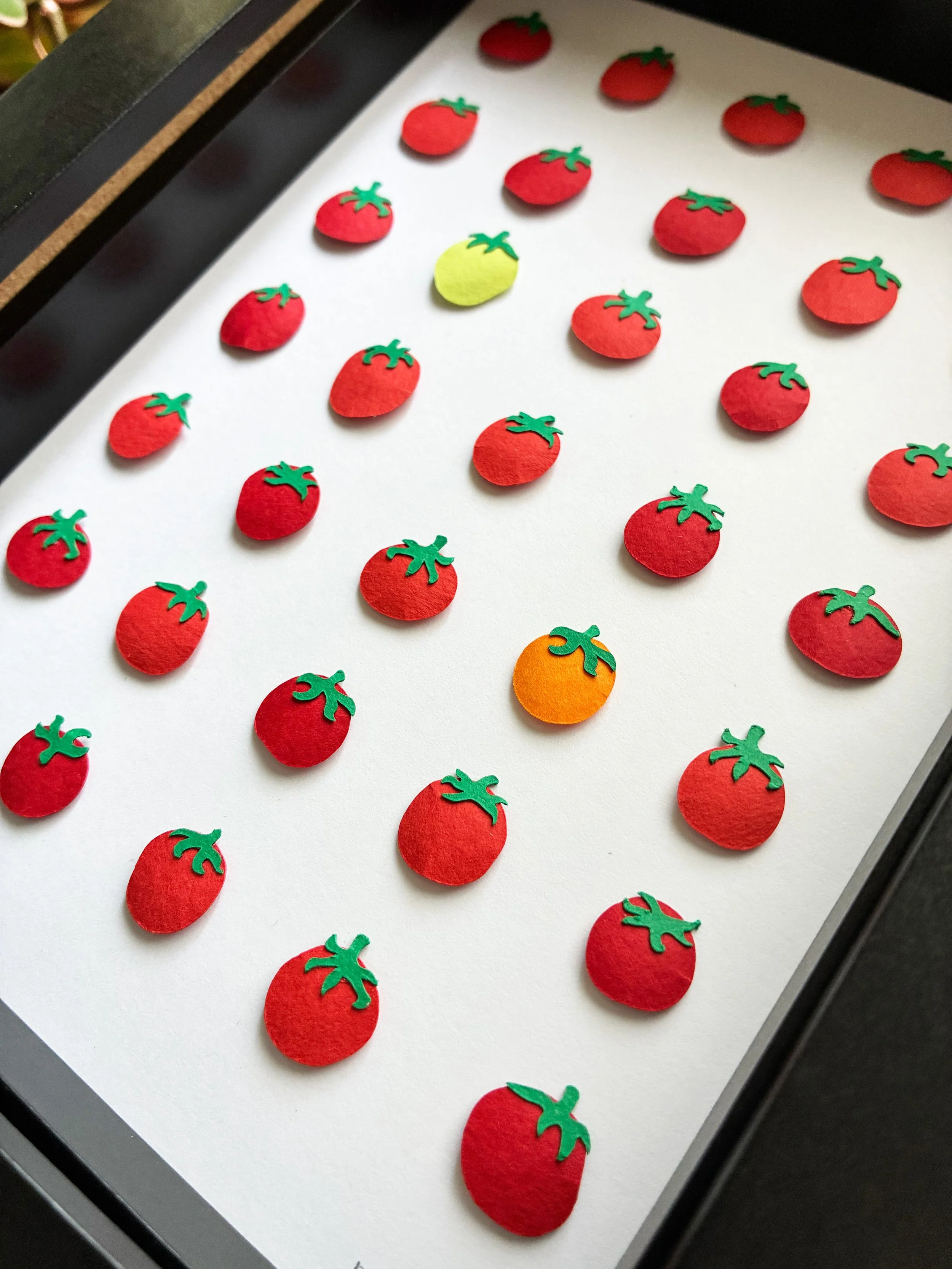 Tomato White 2.jpg