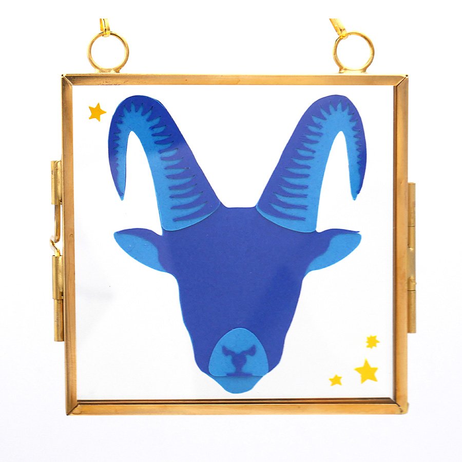 Capricorn Listing.jpg