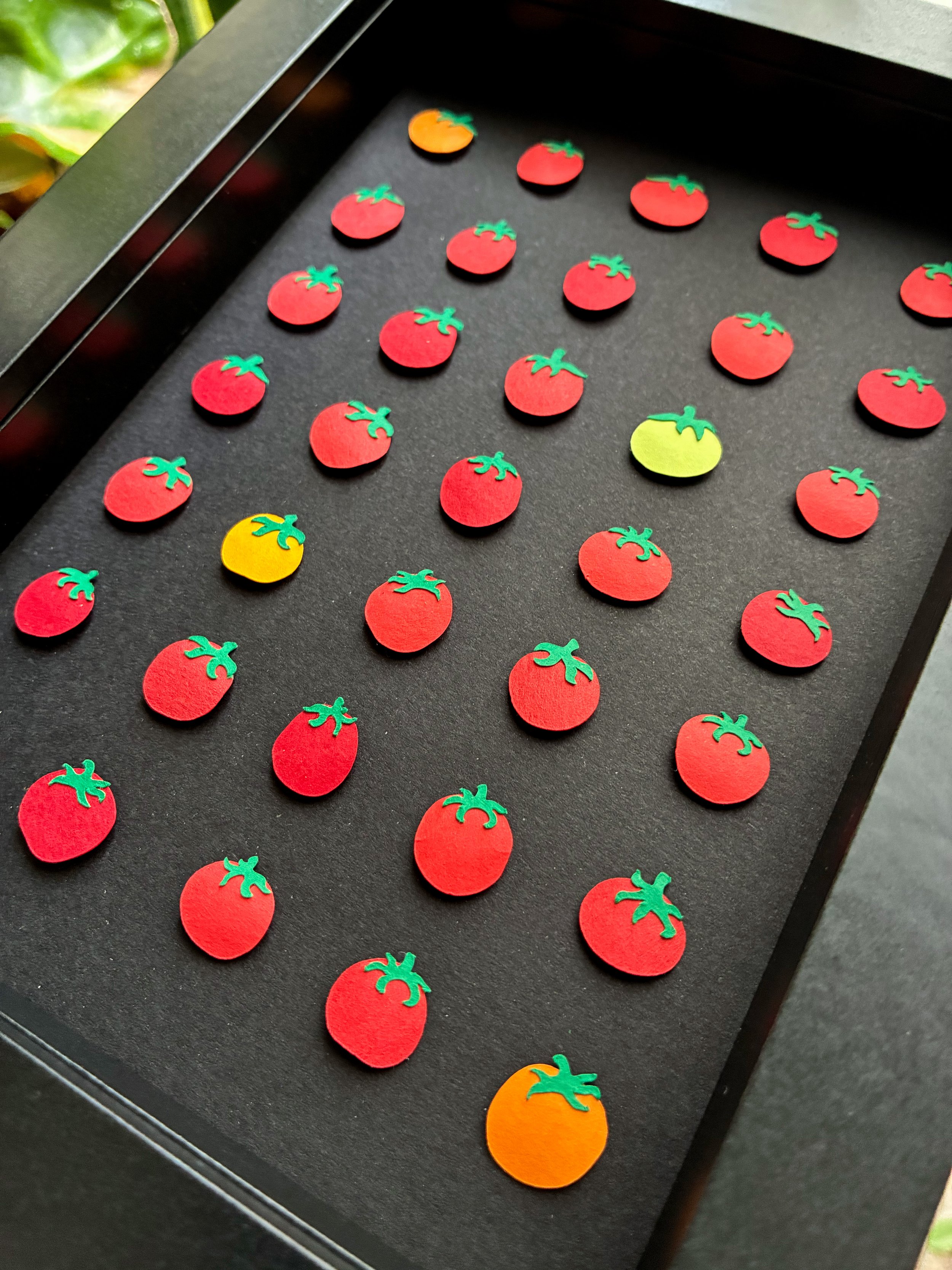 Tomato Black 1.jpg