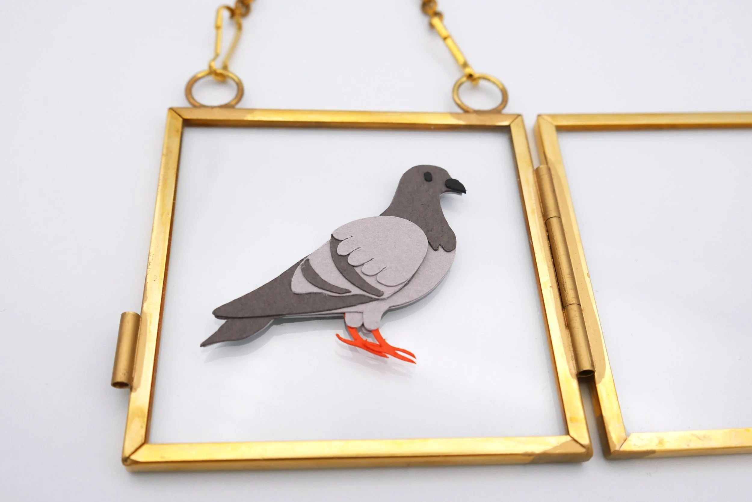 Pigeon 2 2_.jpg