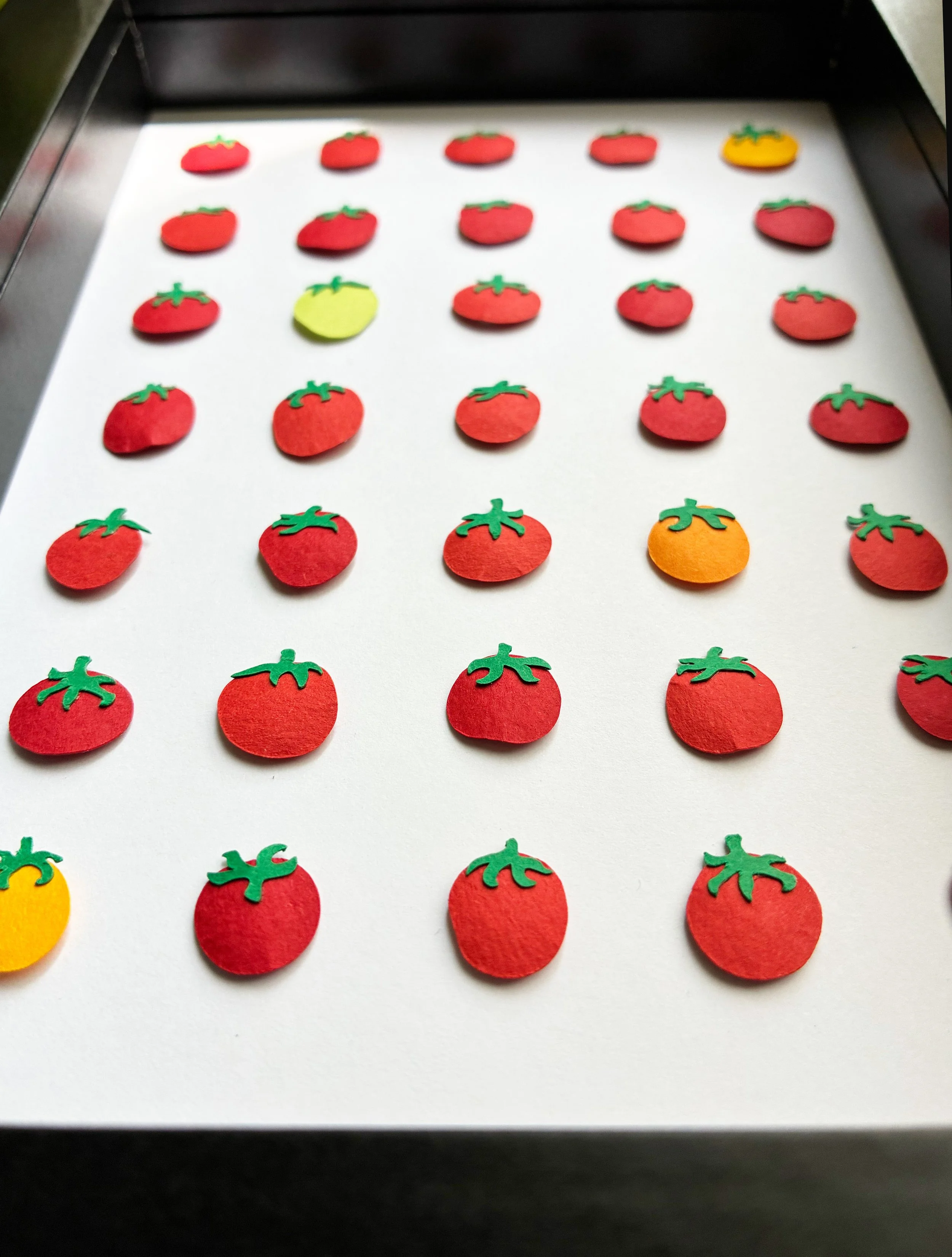 Tomato White 4.jpg