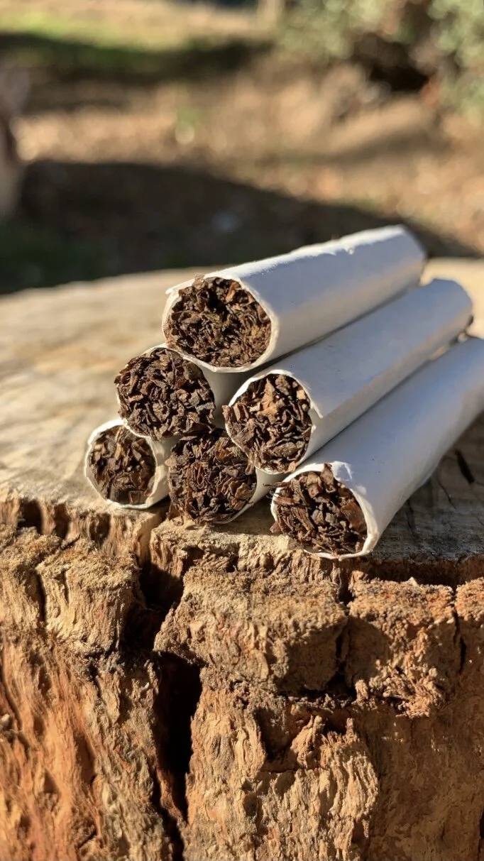 8D8E8DFD-0413-4BED-B9C4-598656321912