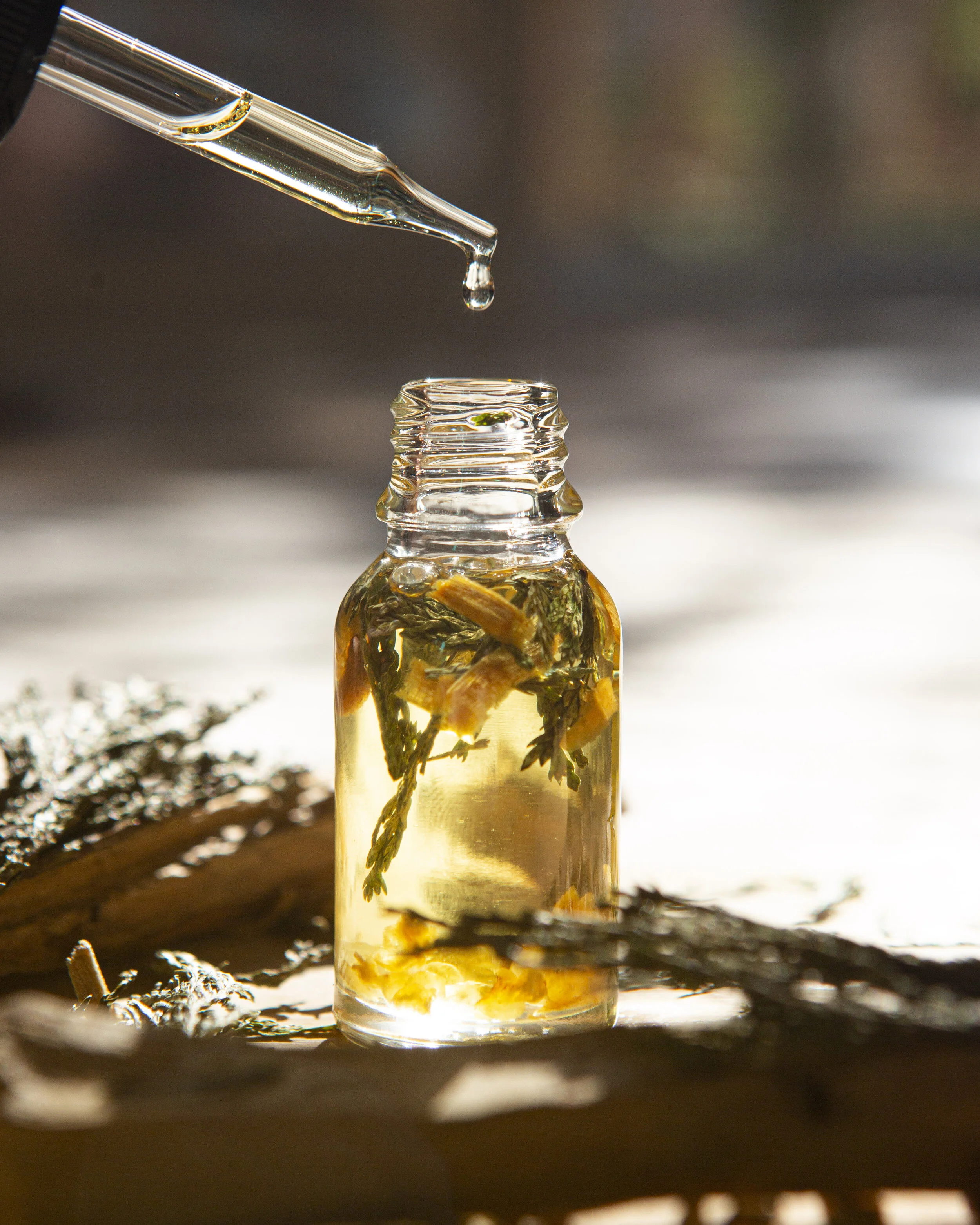 Shields Up - Palo Santo, Cedarwood, Frankincense Protection Oil