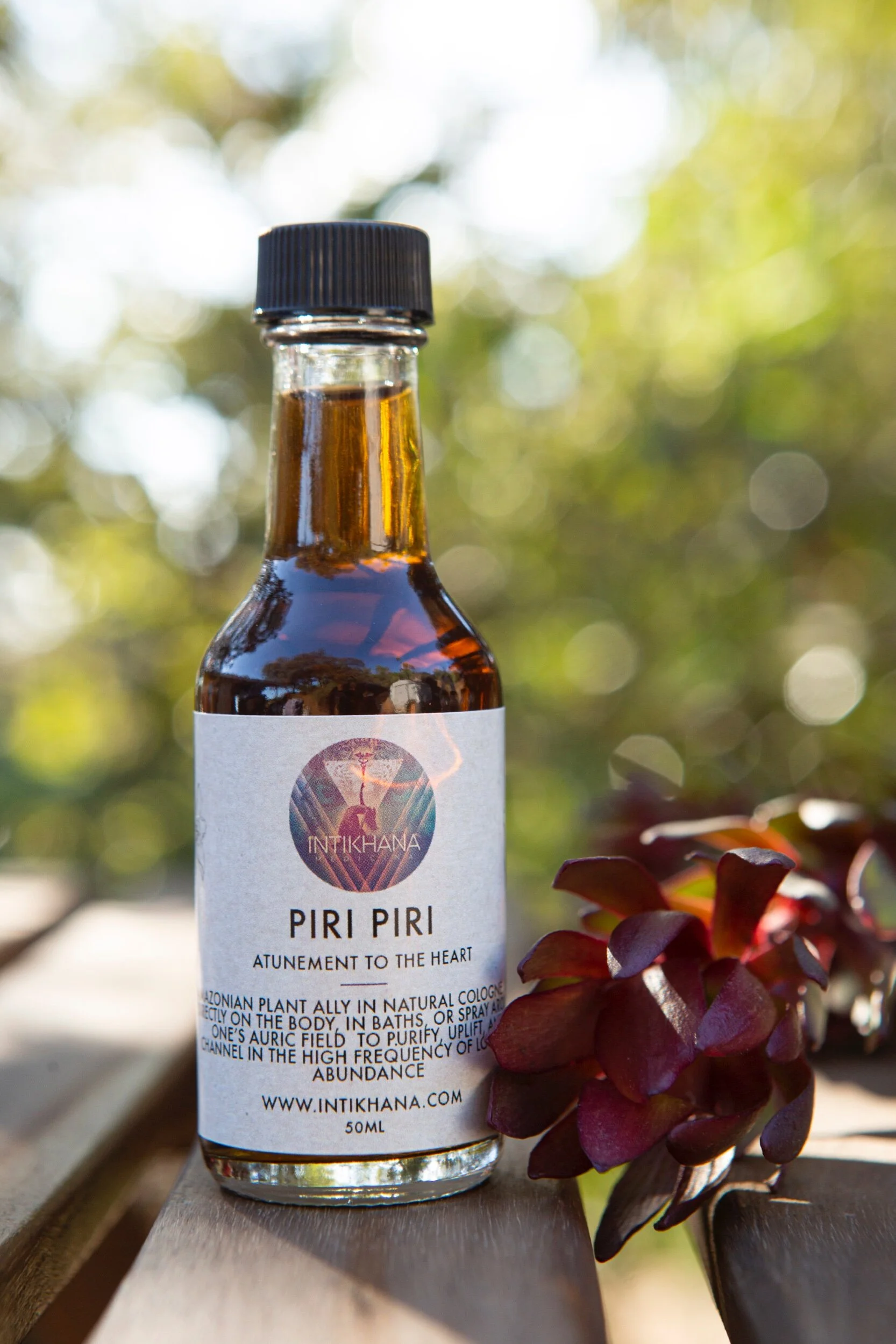 193AD9AA-B942-4B26-B6E5-2BD3204DDC3F