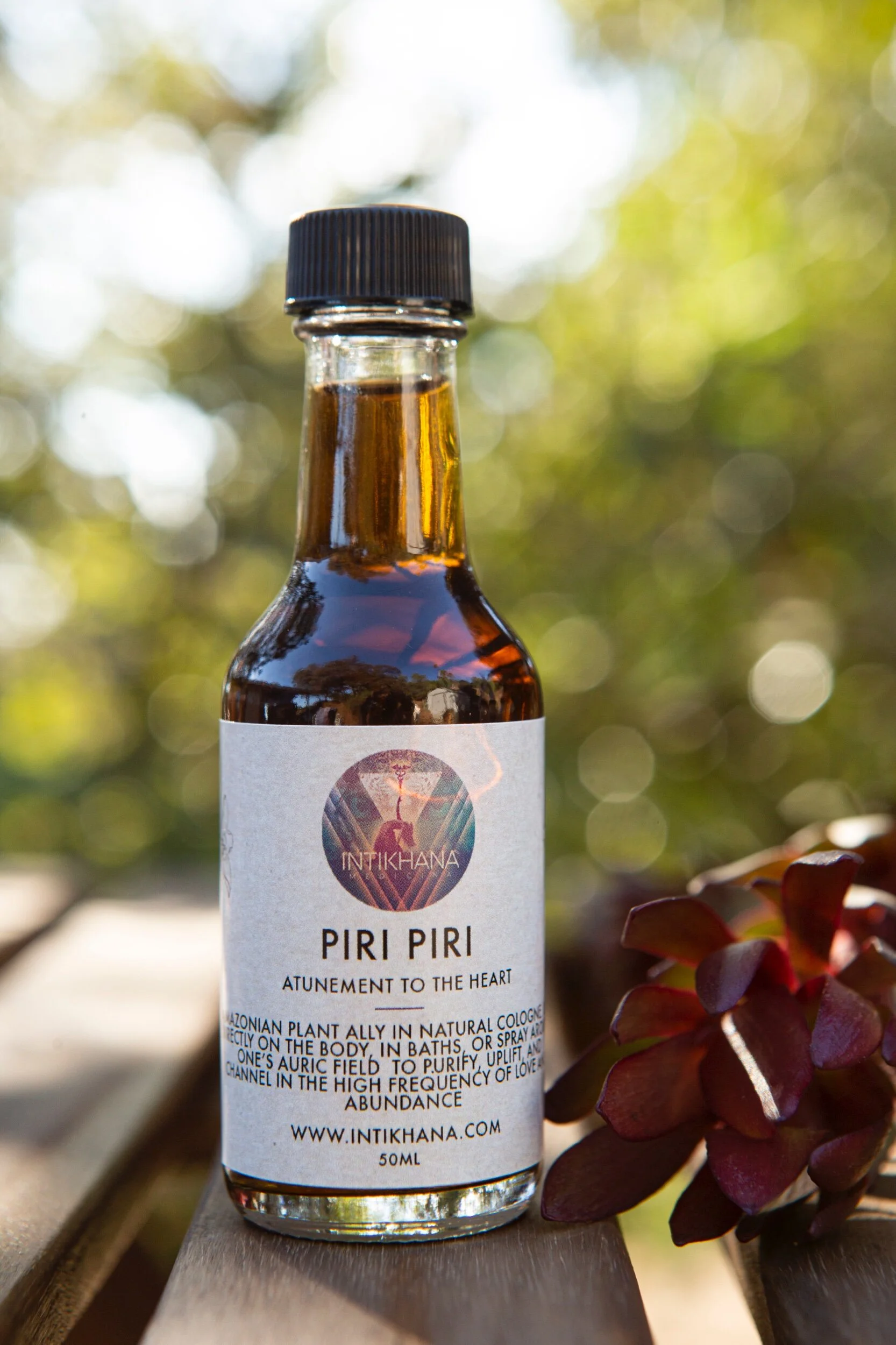 C4D955B5-B11A-4E1C-8DC0-596E76FC61C0