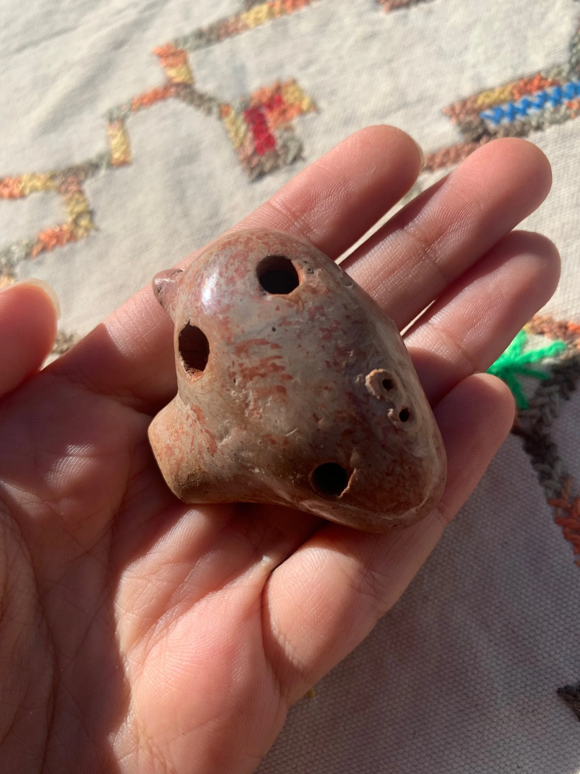 58E73175-4317-4C25-9590-855065B50E49