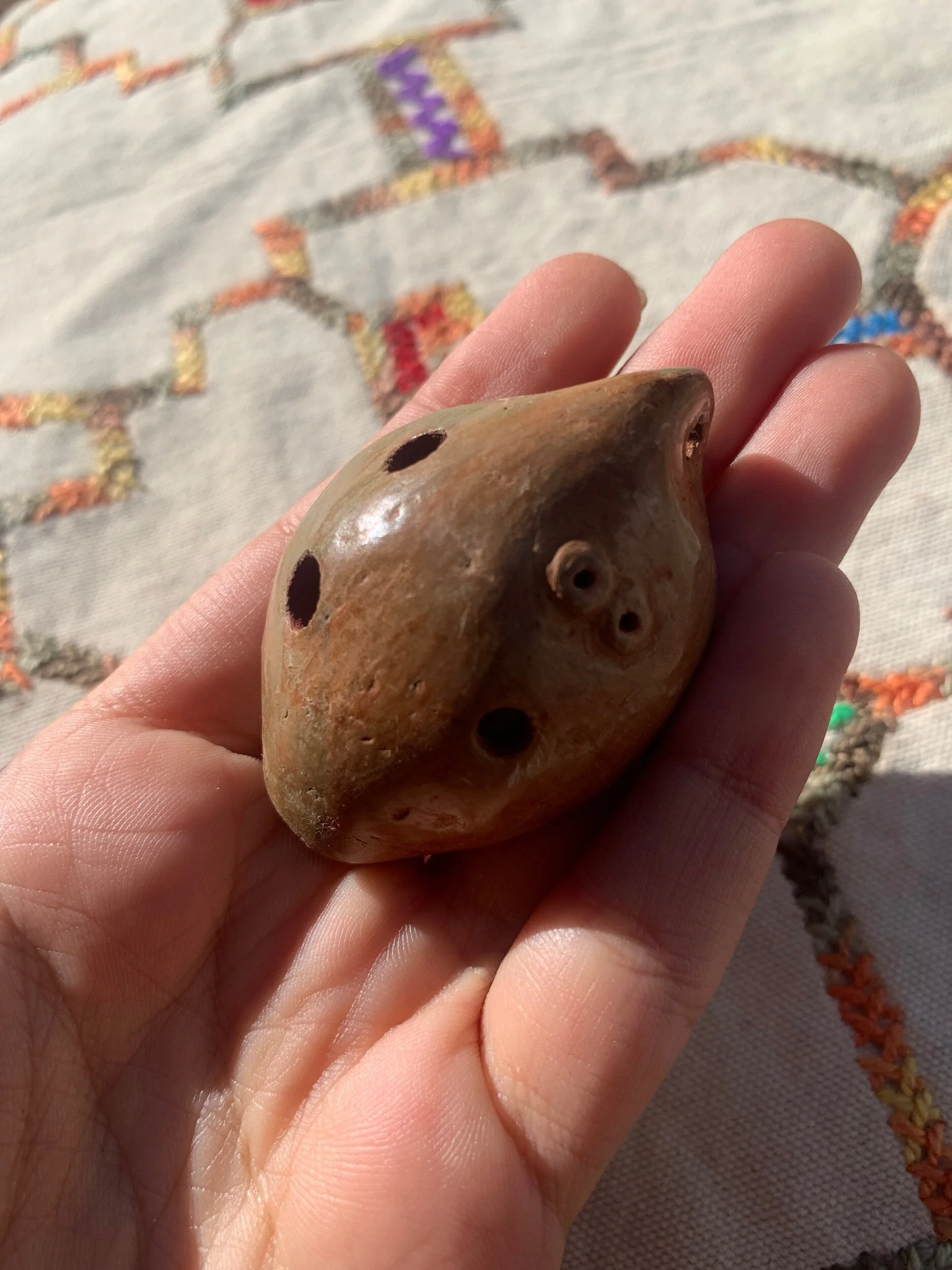 6DE3F034-E142-480A-AF84-D1F88E3D02A7