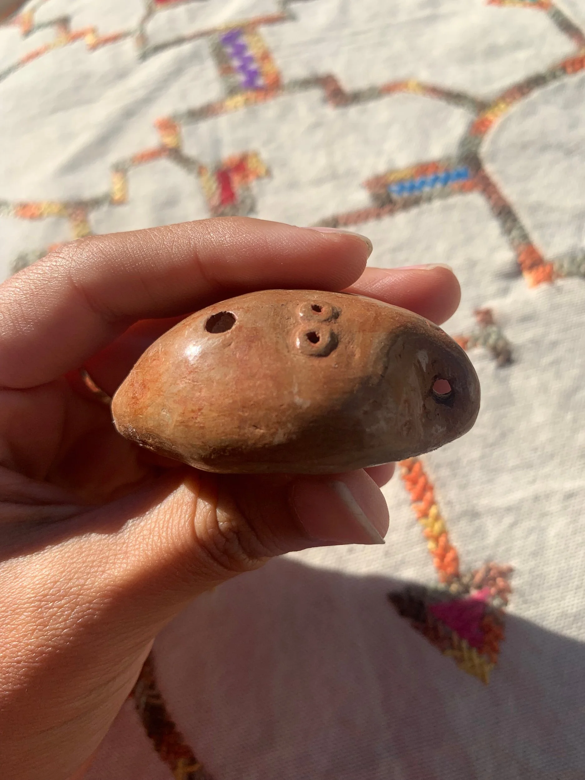 7ACD0310-08A2-482E-9F90-CFA3E1714736