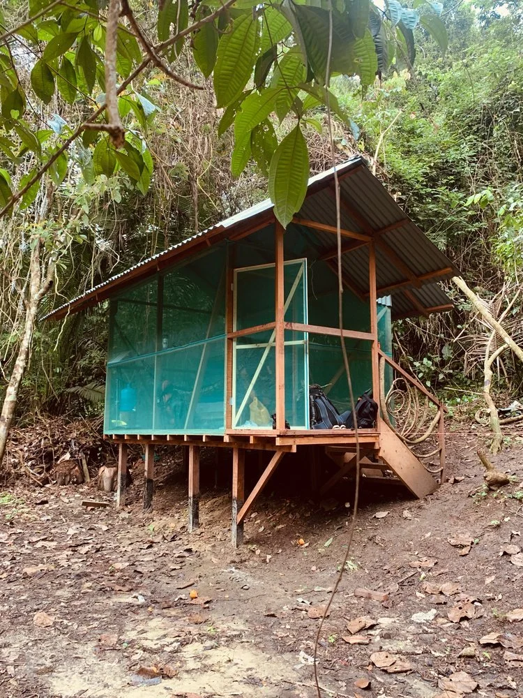 CASITA.jpeg