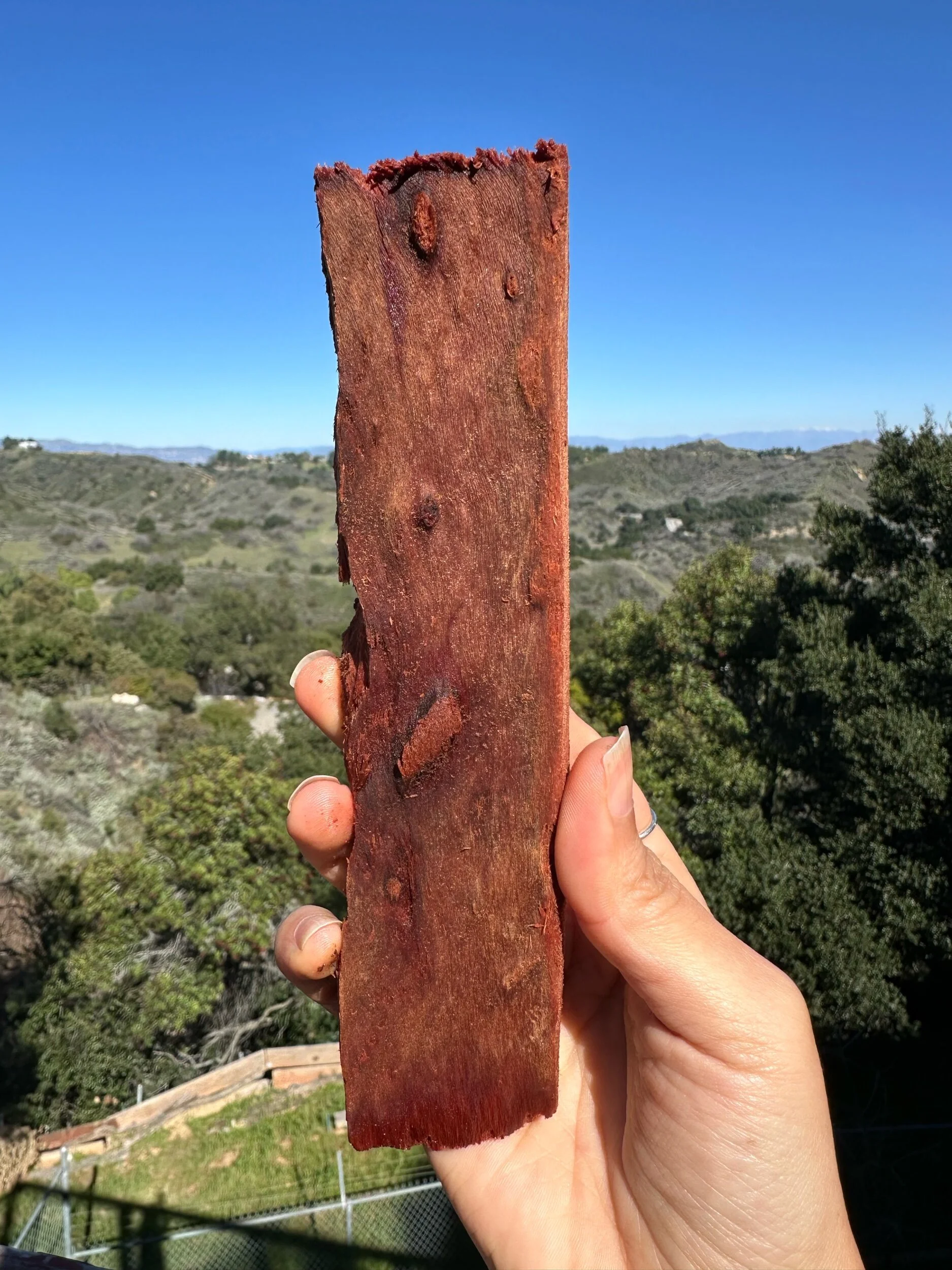 F27311A8-CD58-465A-8237-873DCB0F6F4F