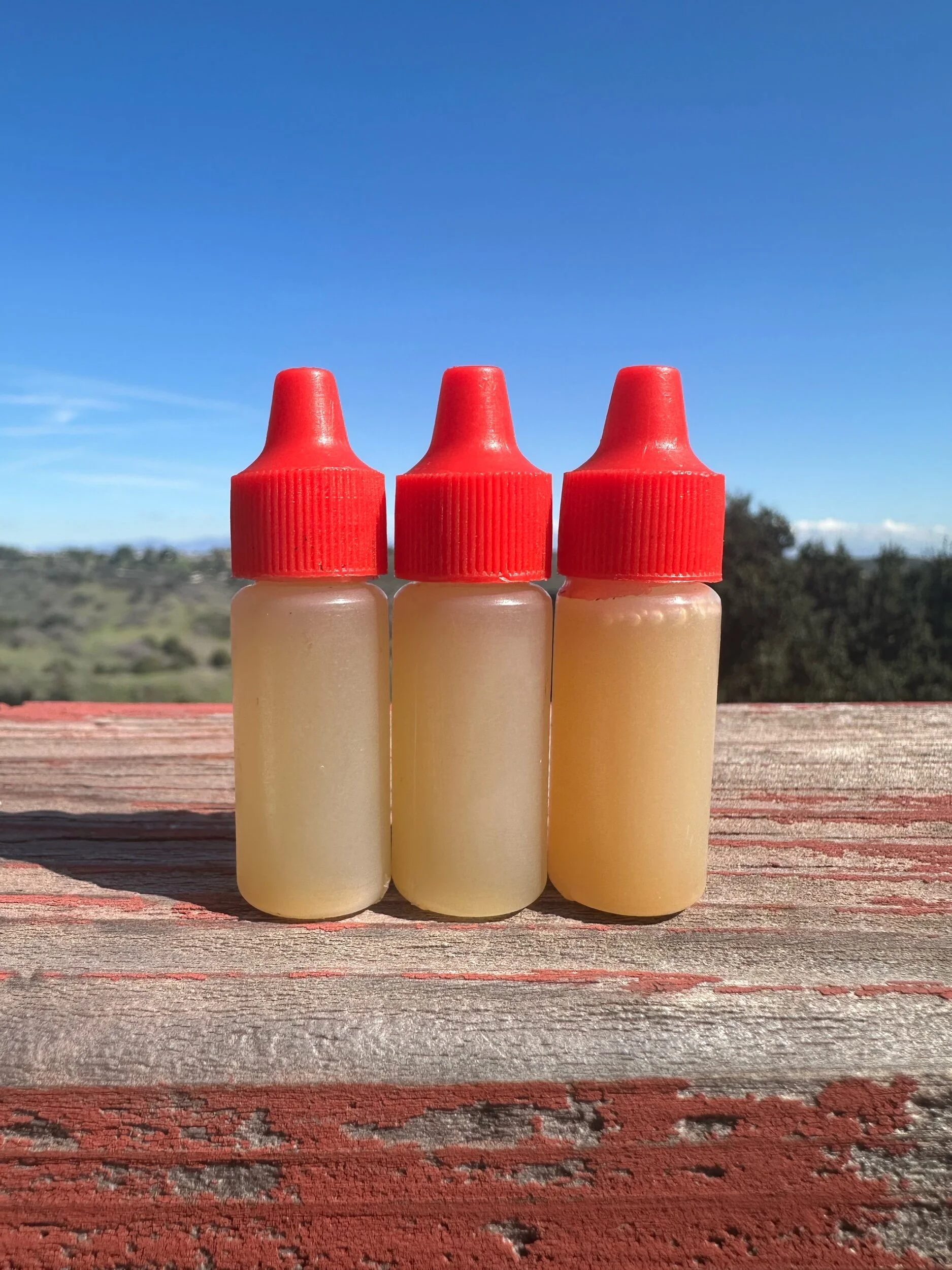 7E3EDE63-41F2-45A8-96F8-E0645C7E6FD6