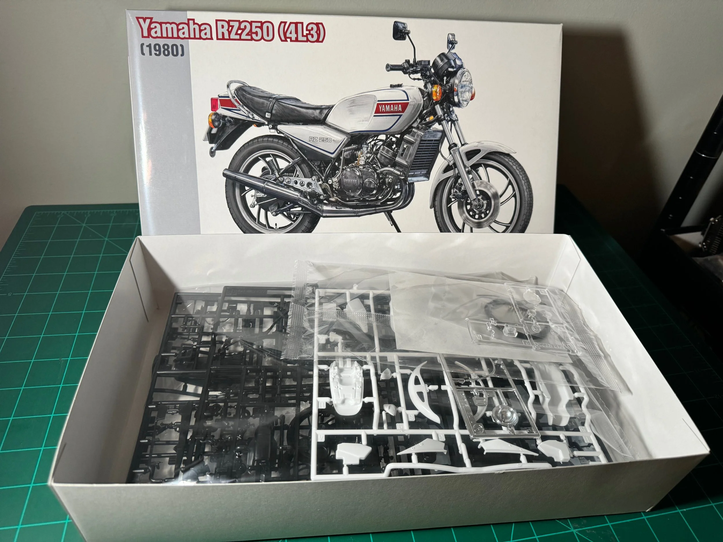 AOSHIMA - KKYY Sdc761914d27c4c2e8e596a54558cf