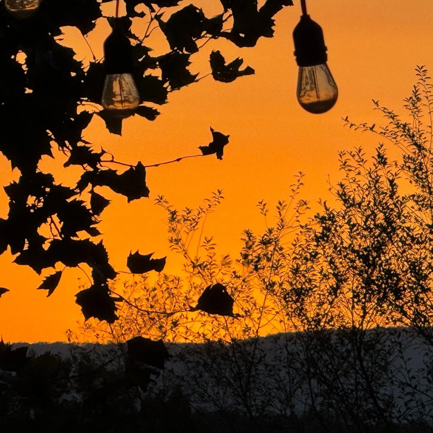 No filter needed for these sunsets