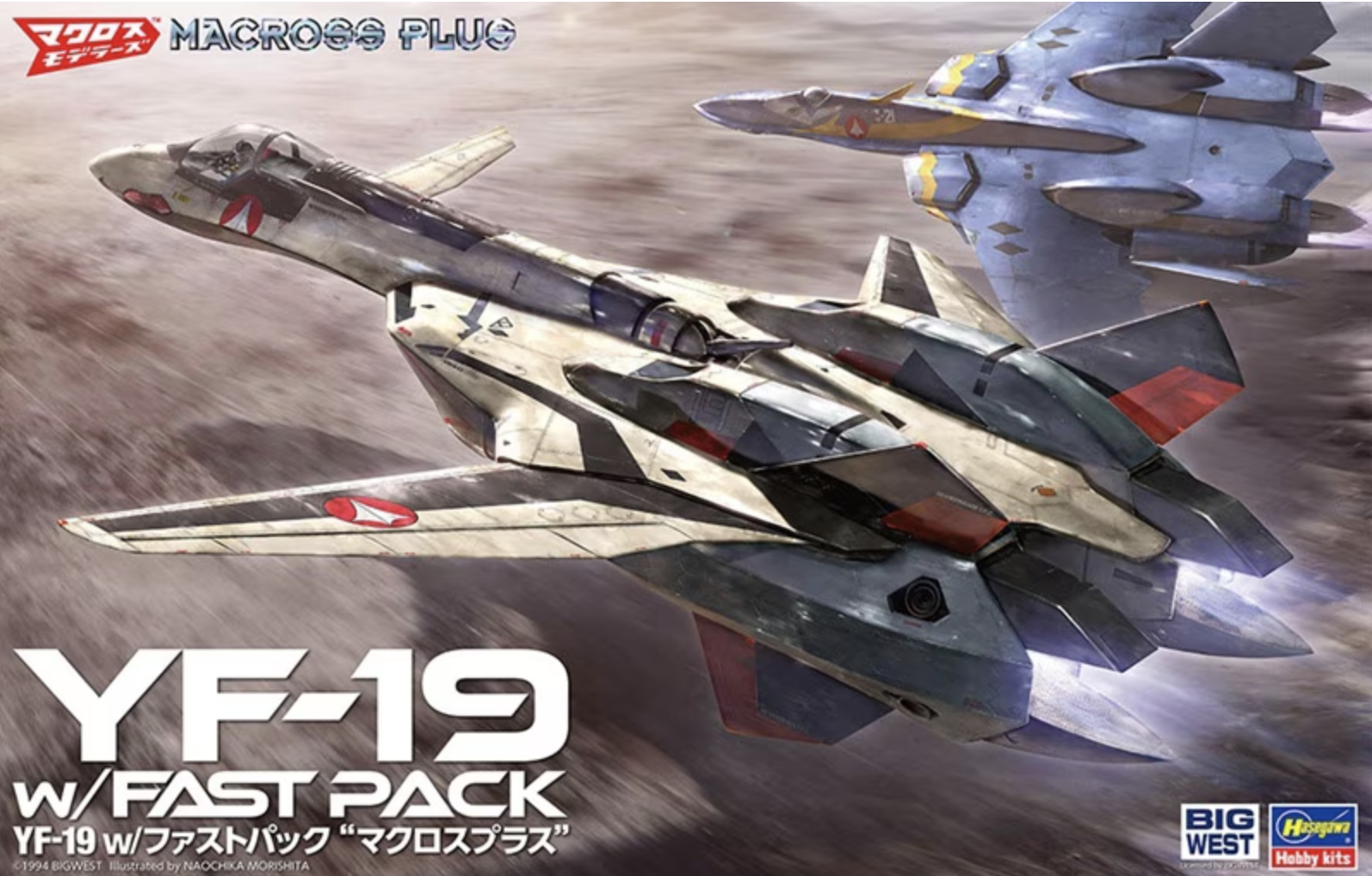 1/48 Hasegawa YF-19 w/ Fast Pack #65888 (SCALE MODEL)
