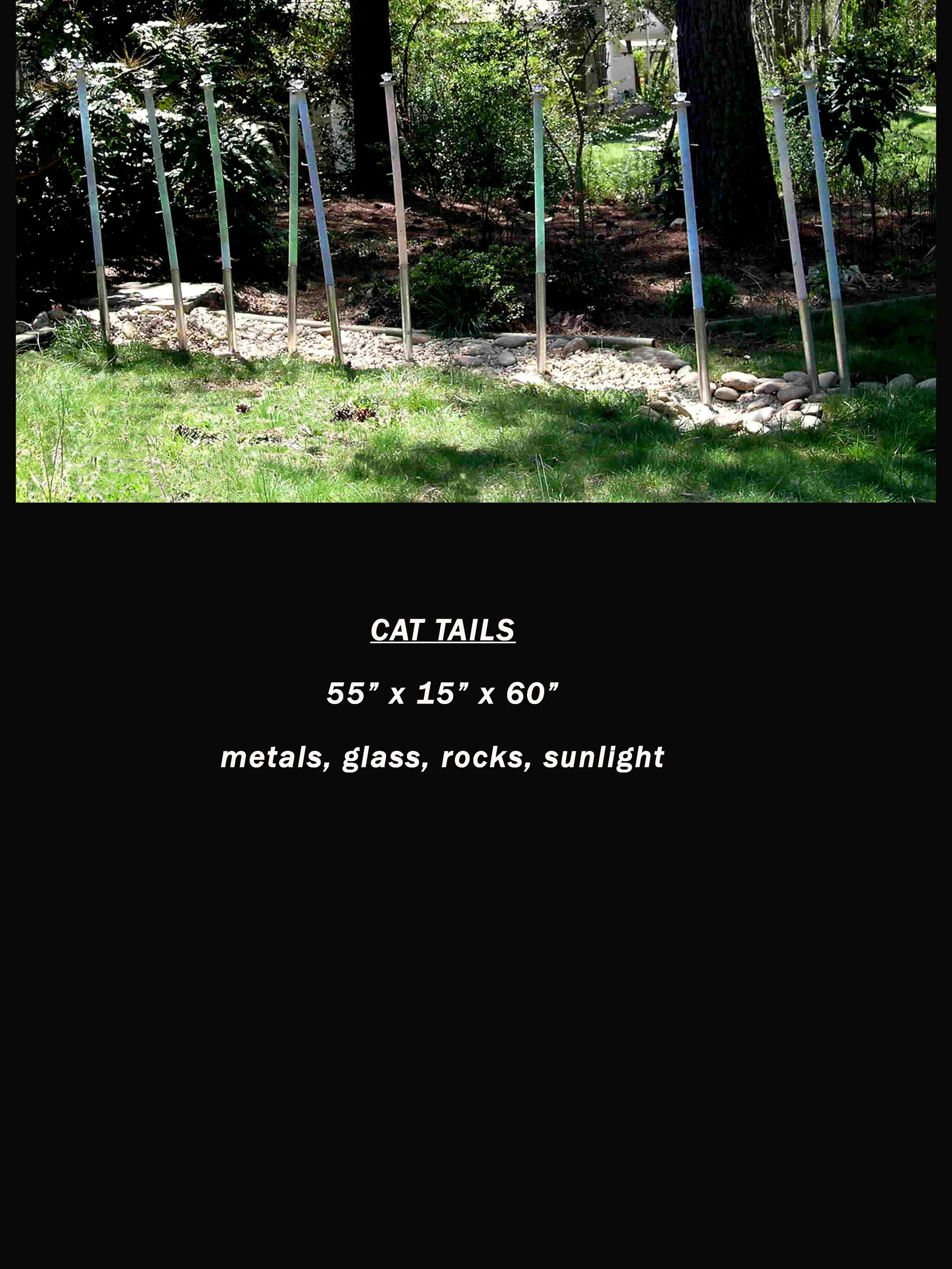 Cattails.jpg