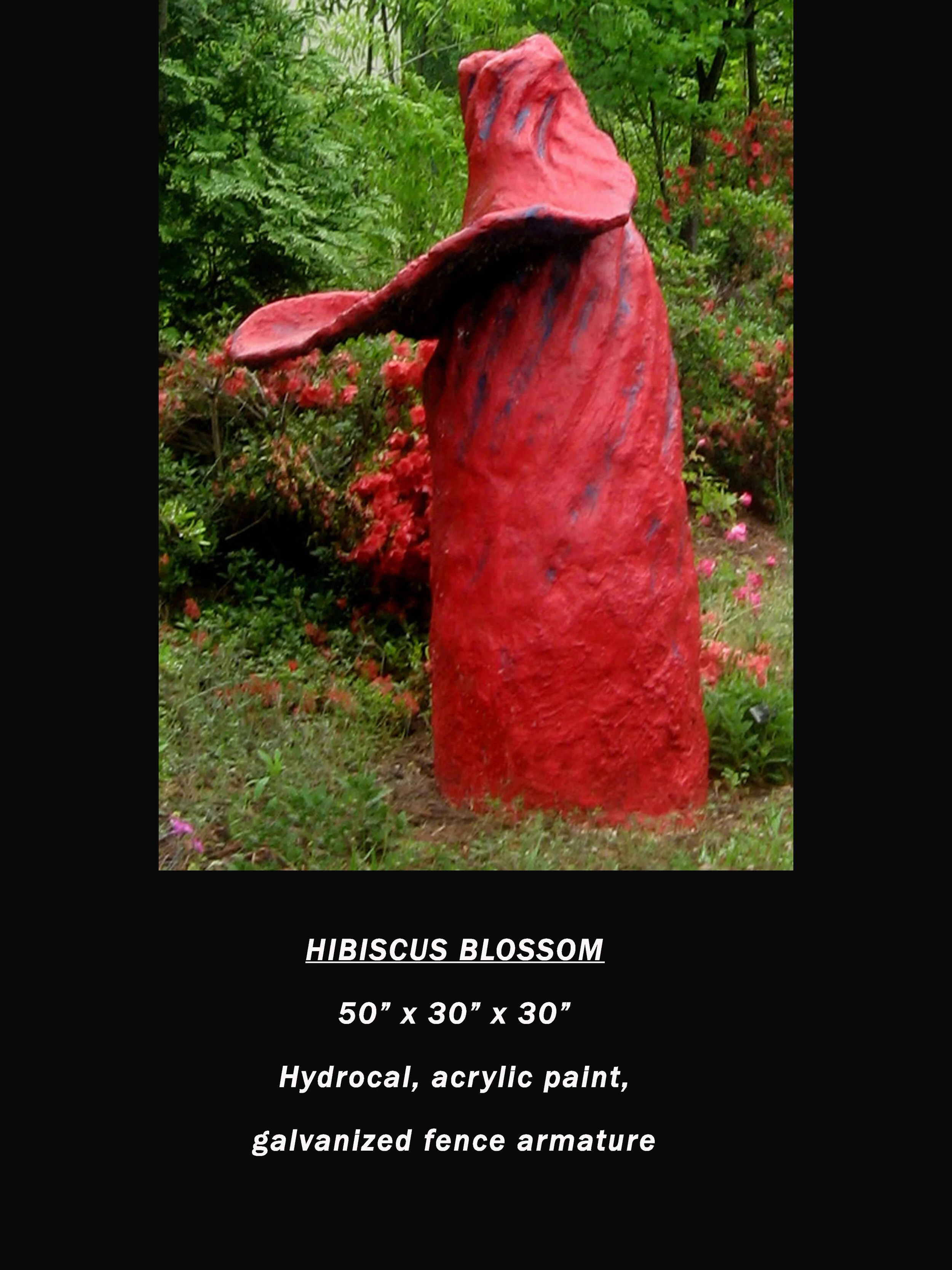 Hibiscus Blossom copy.jpg