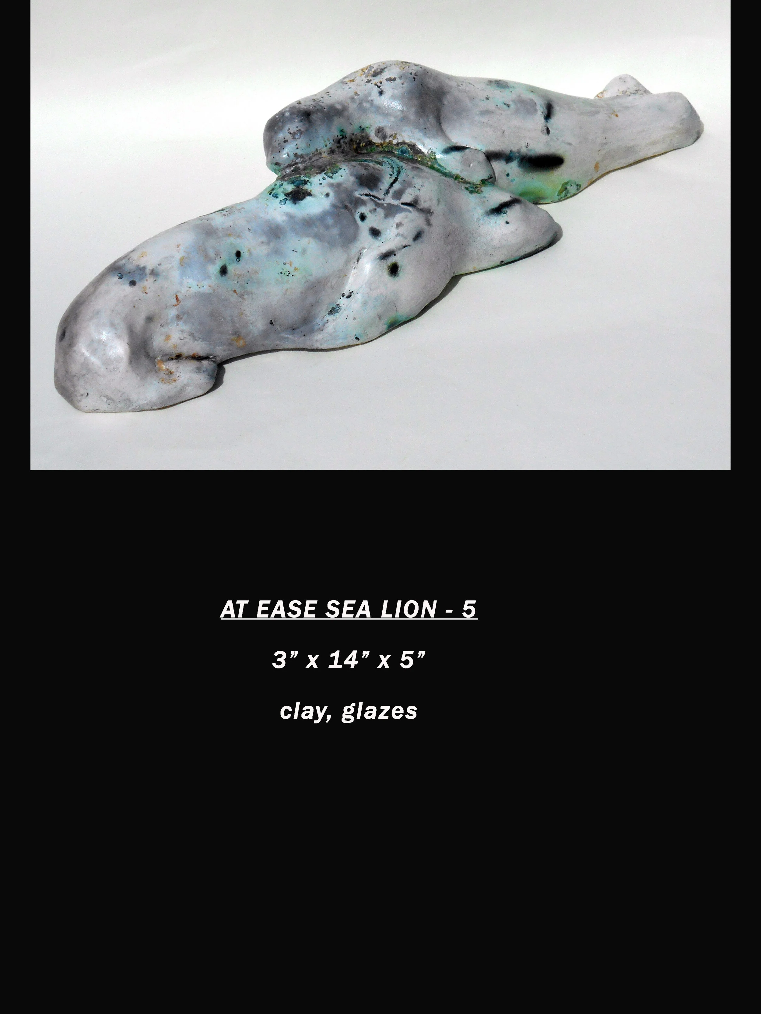 at ease sea lion 5.jpg