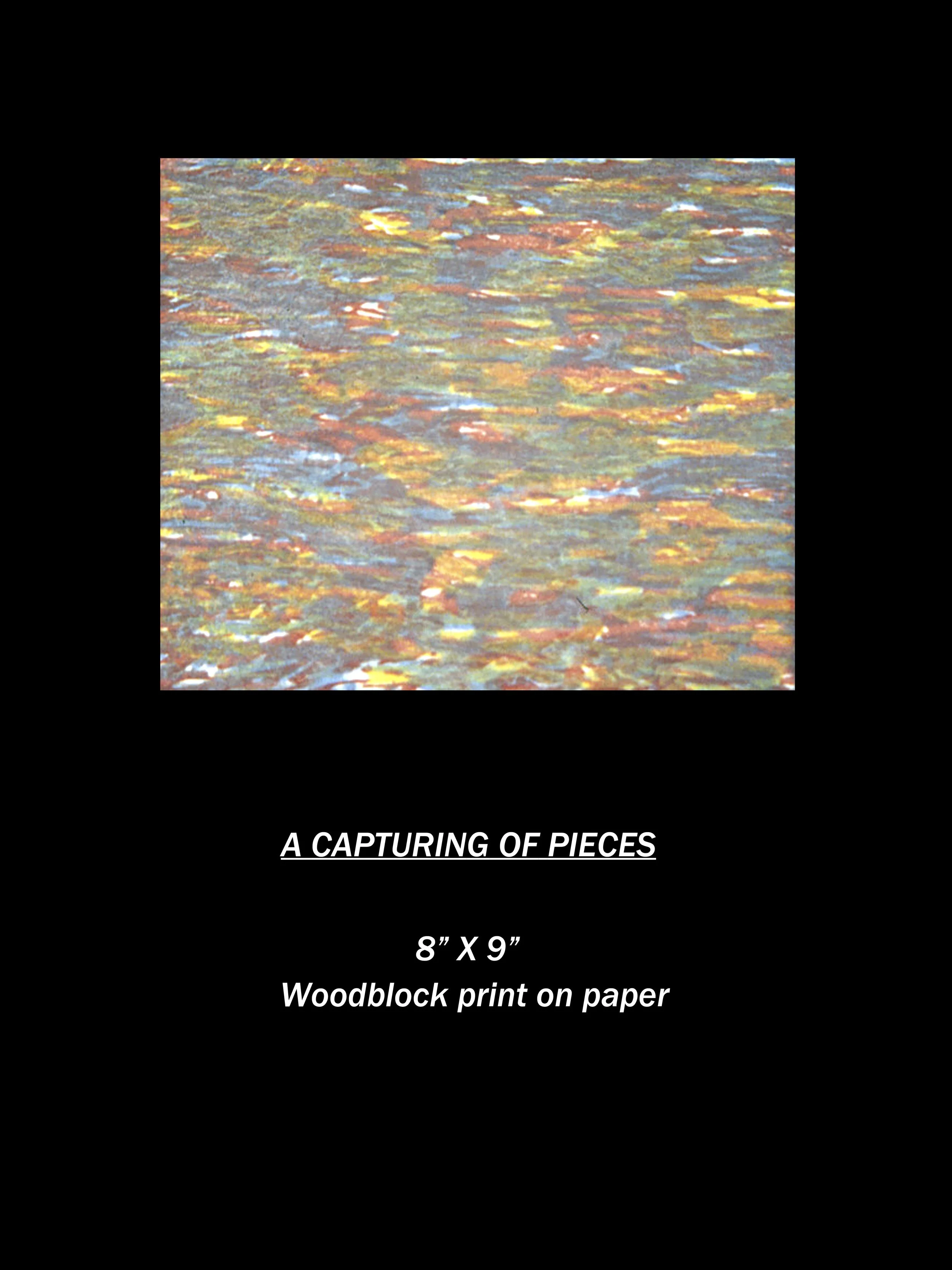 A Capturing of Pieces.jpg