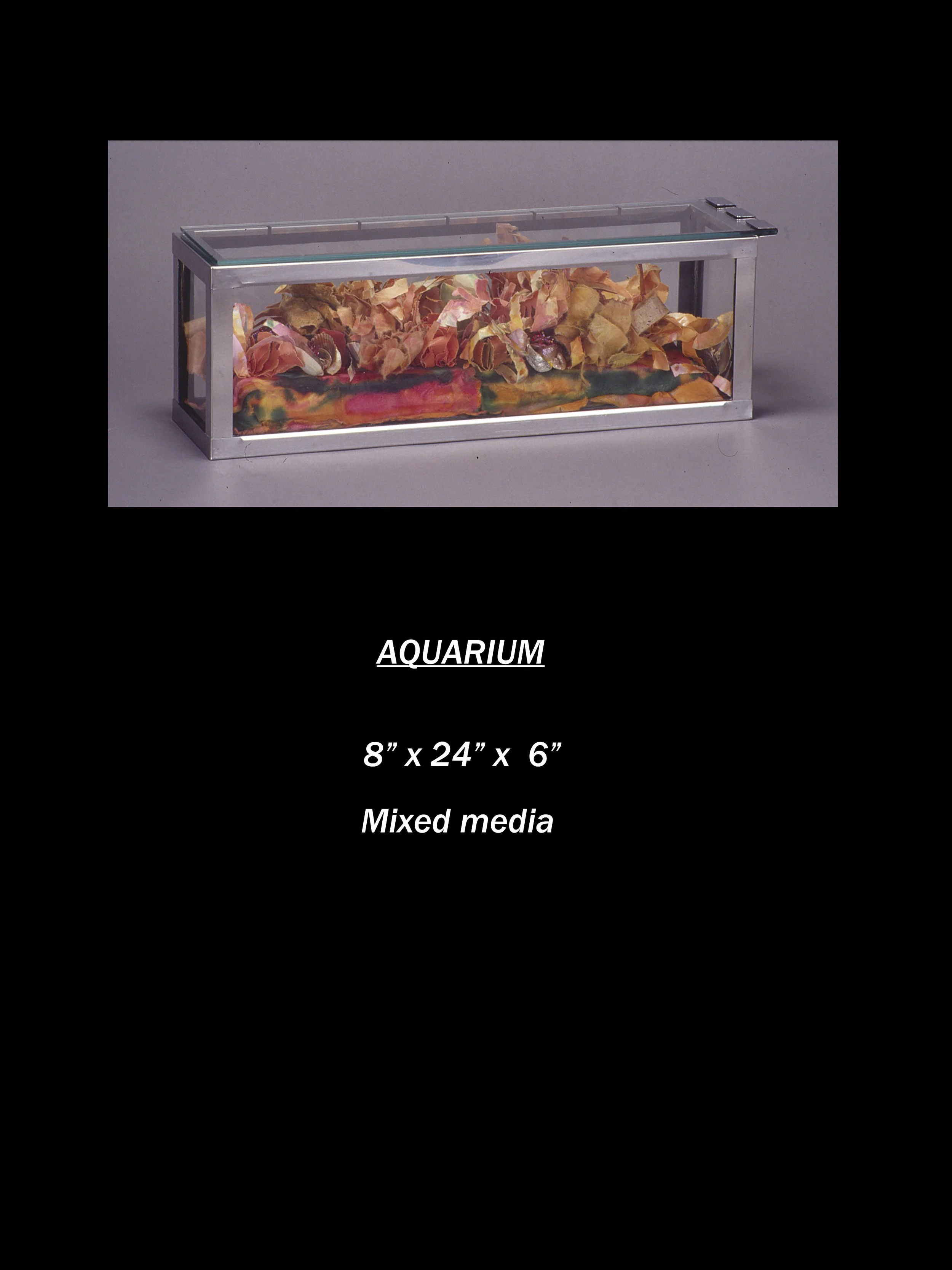 Aquarium.jpg