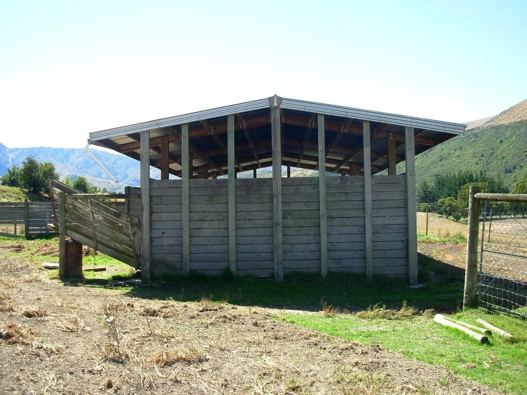 164.JPG