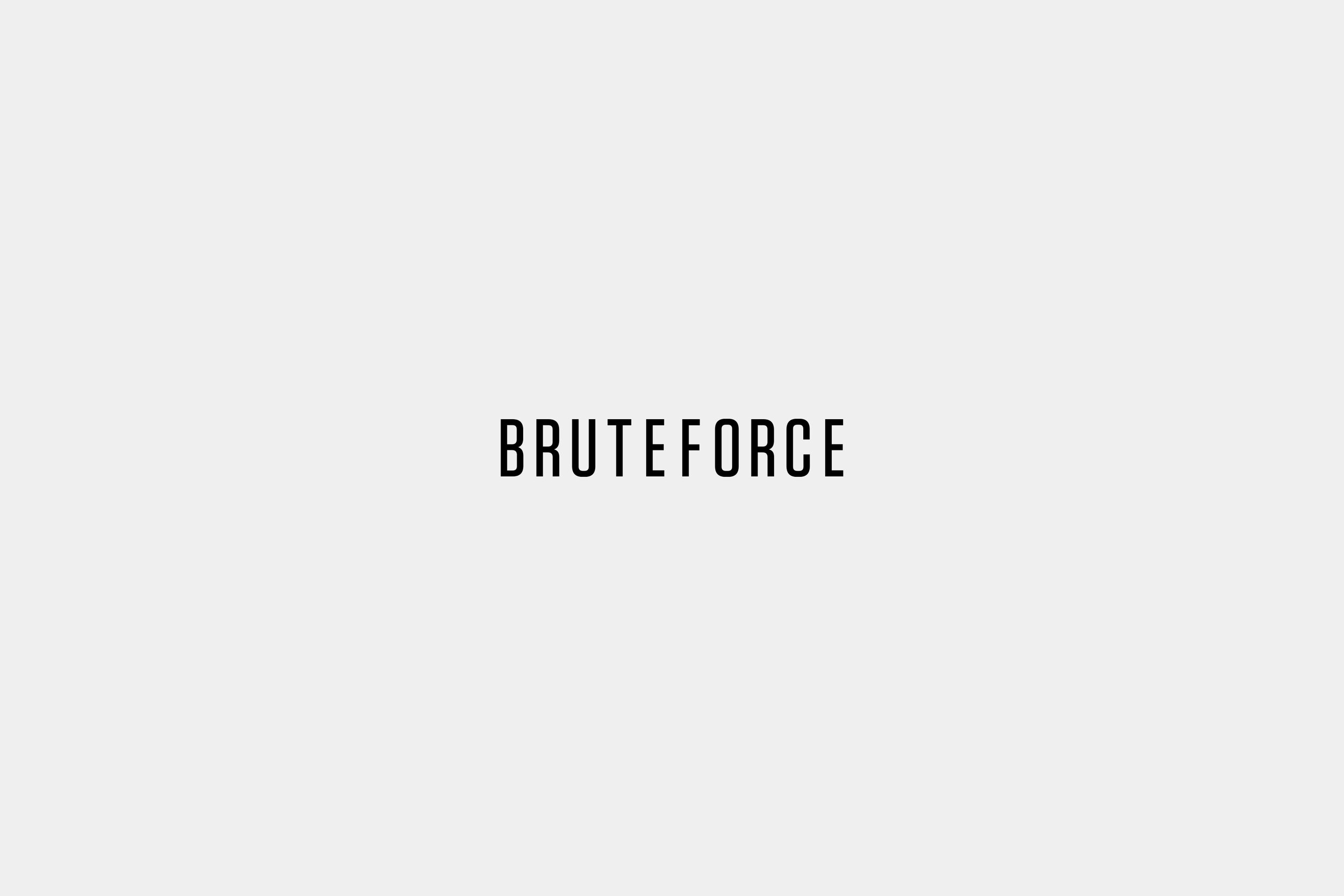 Bruteforce-Website-Work-003.jpg