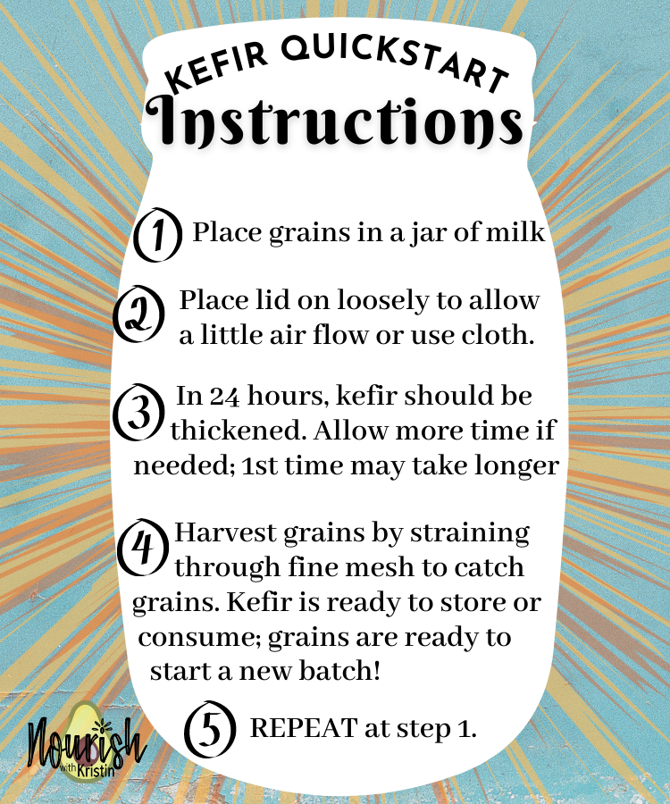 How to Make your Own Milk Kefir at Home — Nourish with Kristin