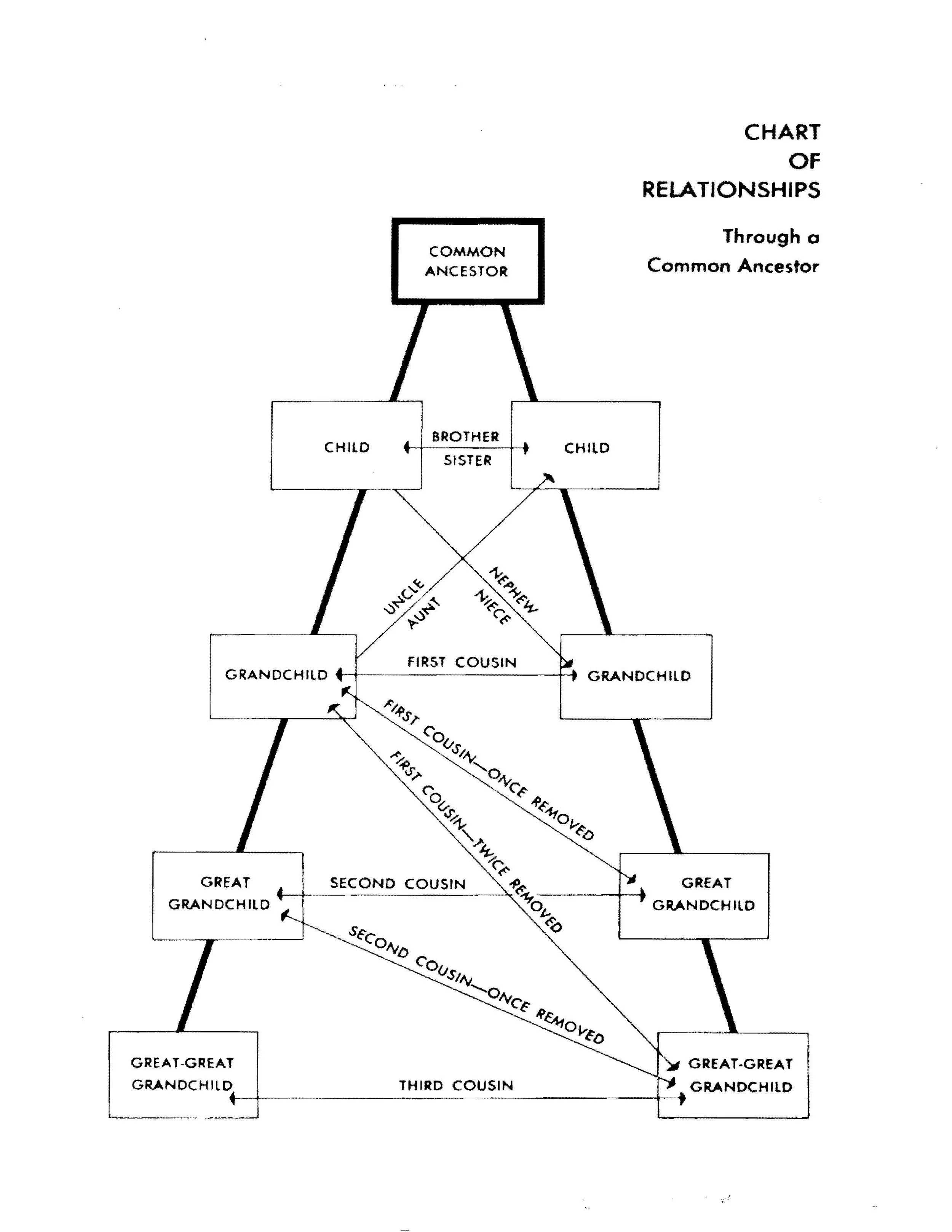 Chart of relationships.jpg