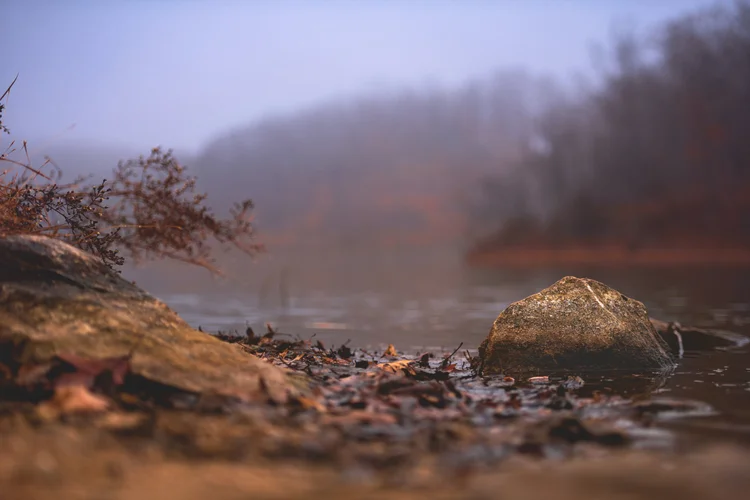 Rocks and fallen leaves line a misty lakeshore.