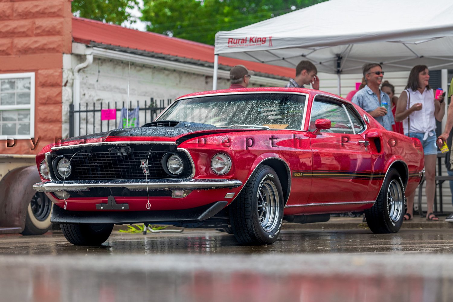 Red Fastback on Wet Pavement. Visible: red fastback, black stripe, wet pavement.